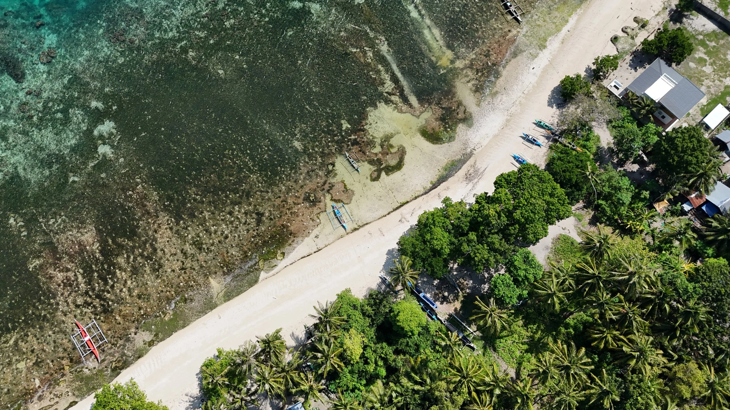 Route côtière bordée de cocotiers et de récifs vue du ciel à Siquijor
