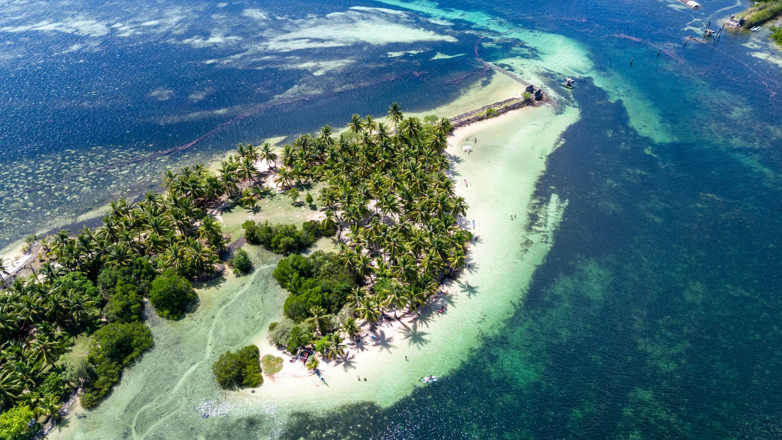Banc de sable et cocotiers d'une plage secrète du sud de Siargao vus du ciel