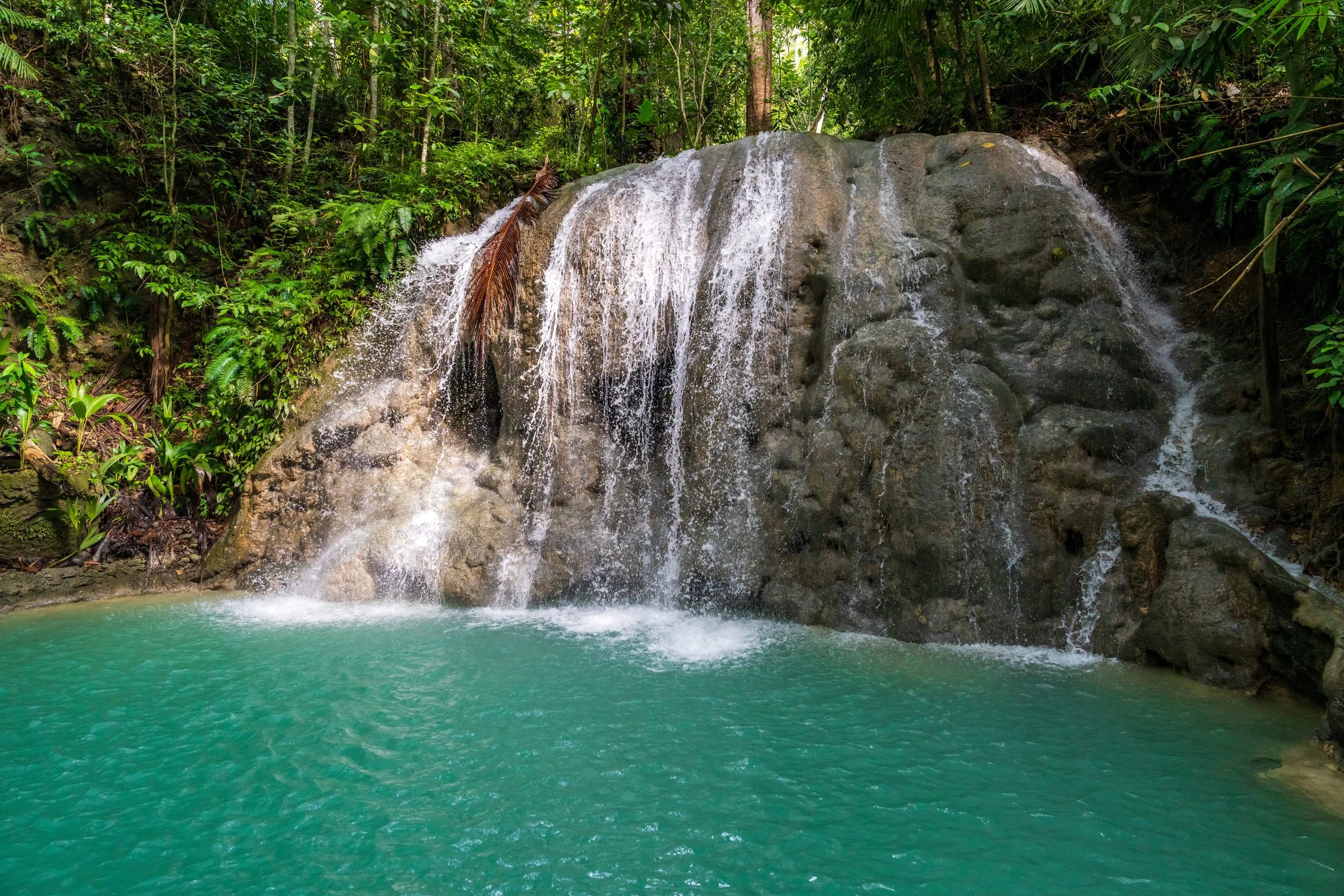 Eaux turquoise des Cambugahay Falls au cœur de la jungle de Siquijor