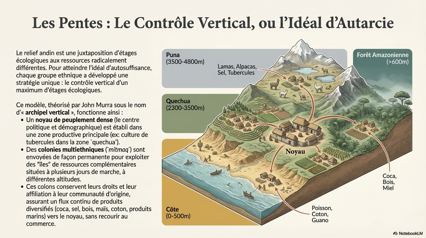 Infographie du contrôle vertical andin et des étages d'altitude en Bolivie