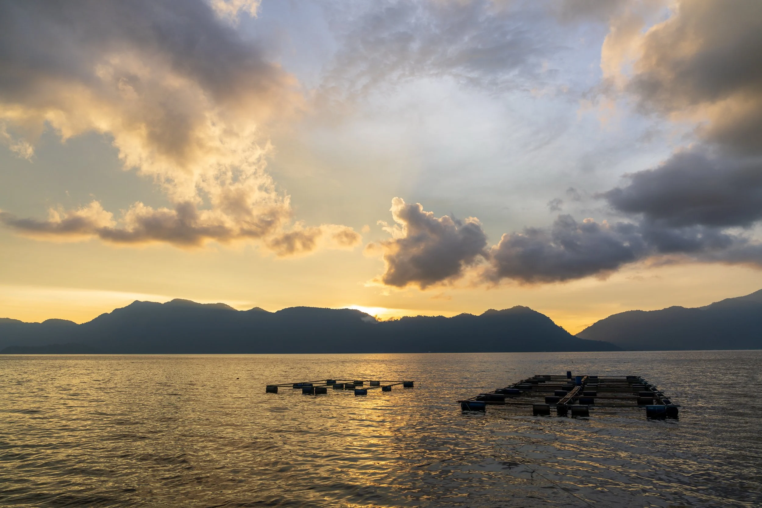 Cages à poissons flottantes du lac Maninjau à la lumière du soir