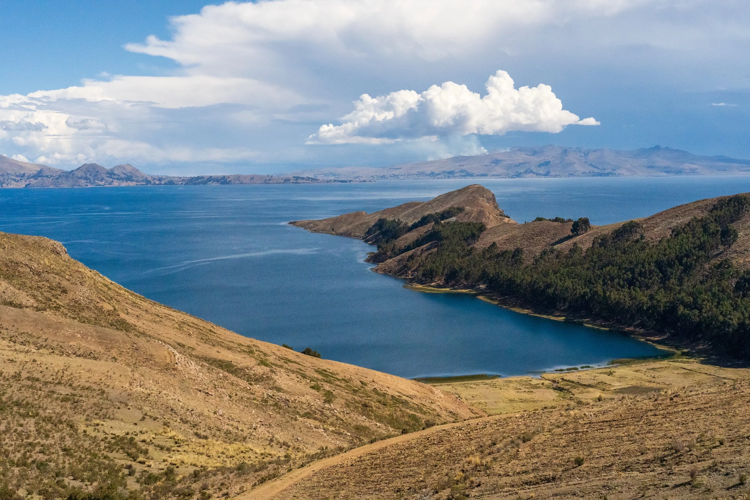 Rives et eaux bleues du lac Titicaca vues depuis l'Isla del Sol en Bolivie