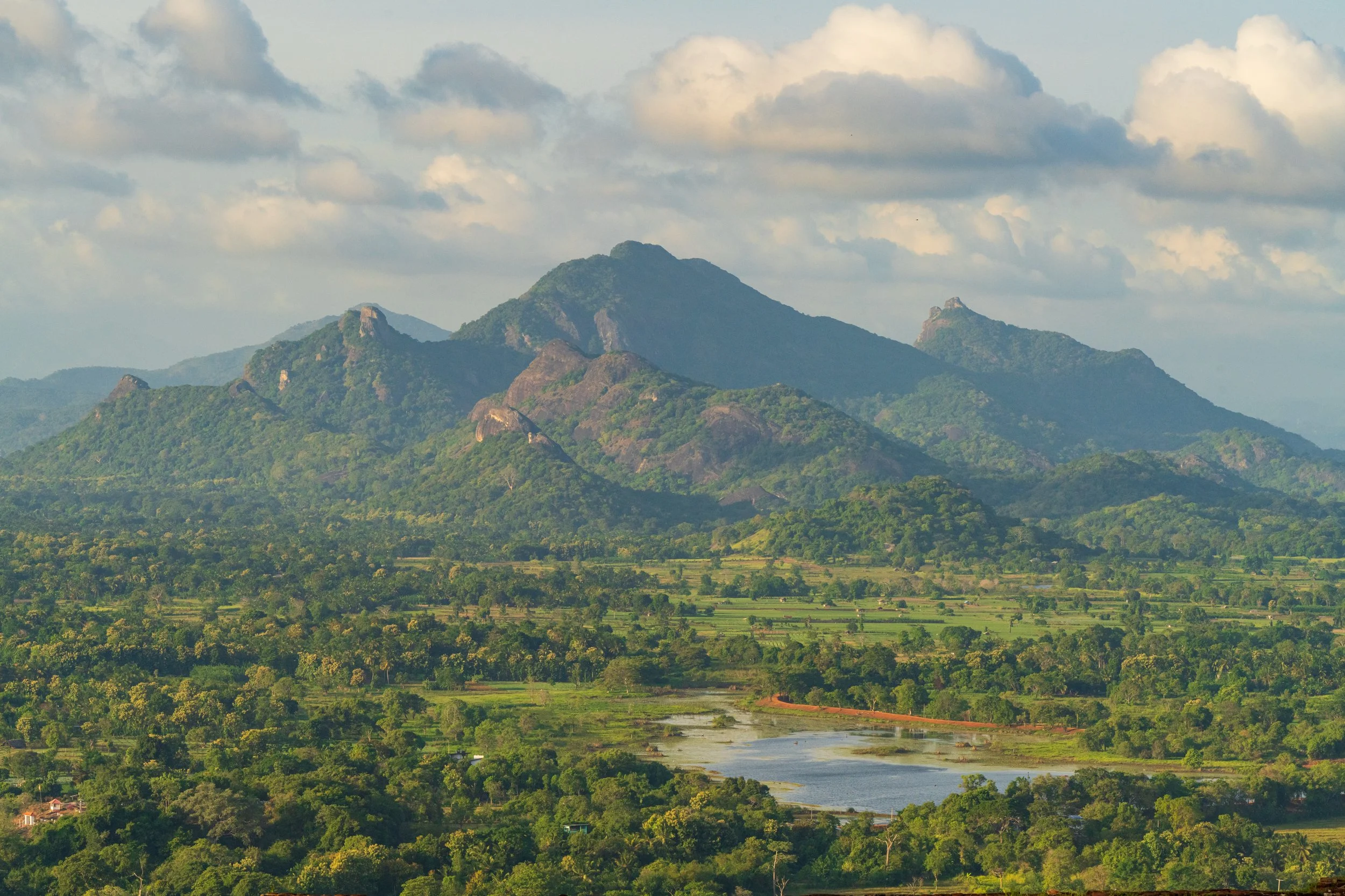 Montagnes et lac entourés de jungle dans la région de Sigiriya au Sri Lanka