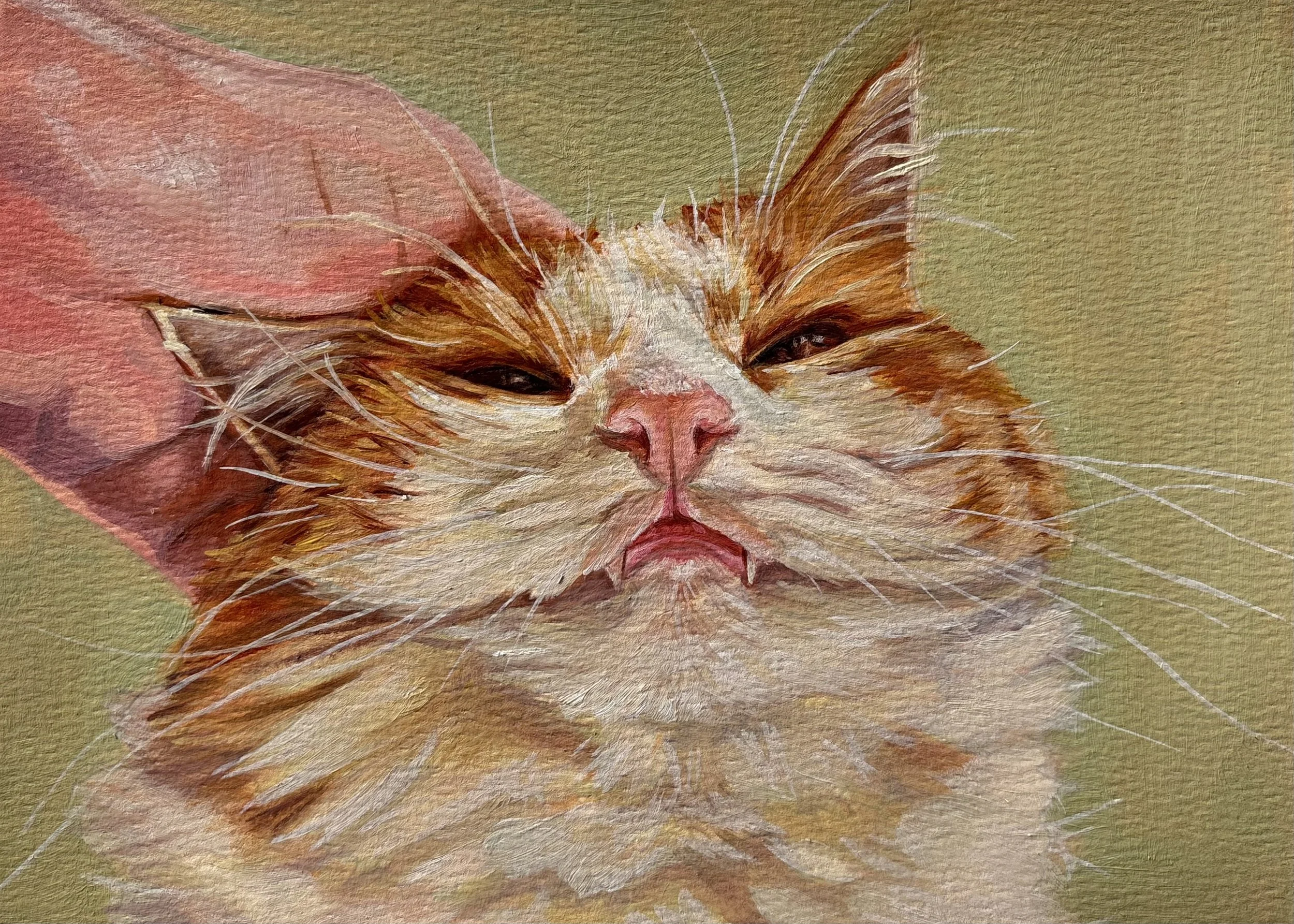 pets