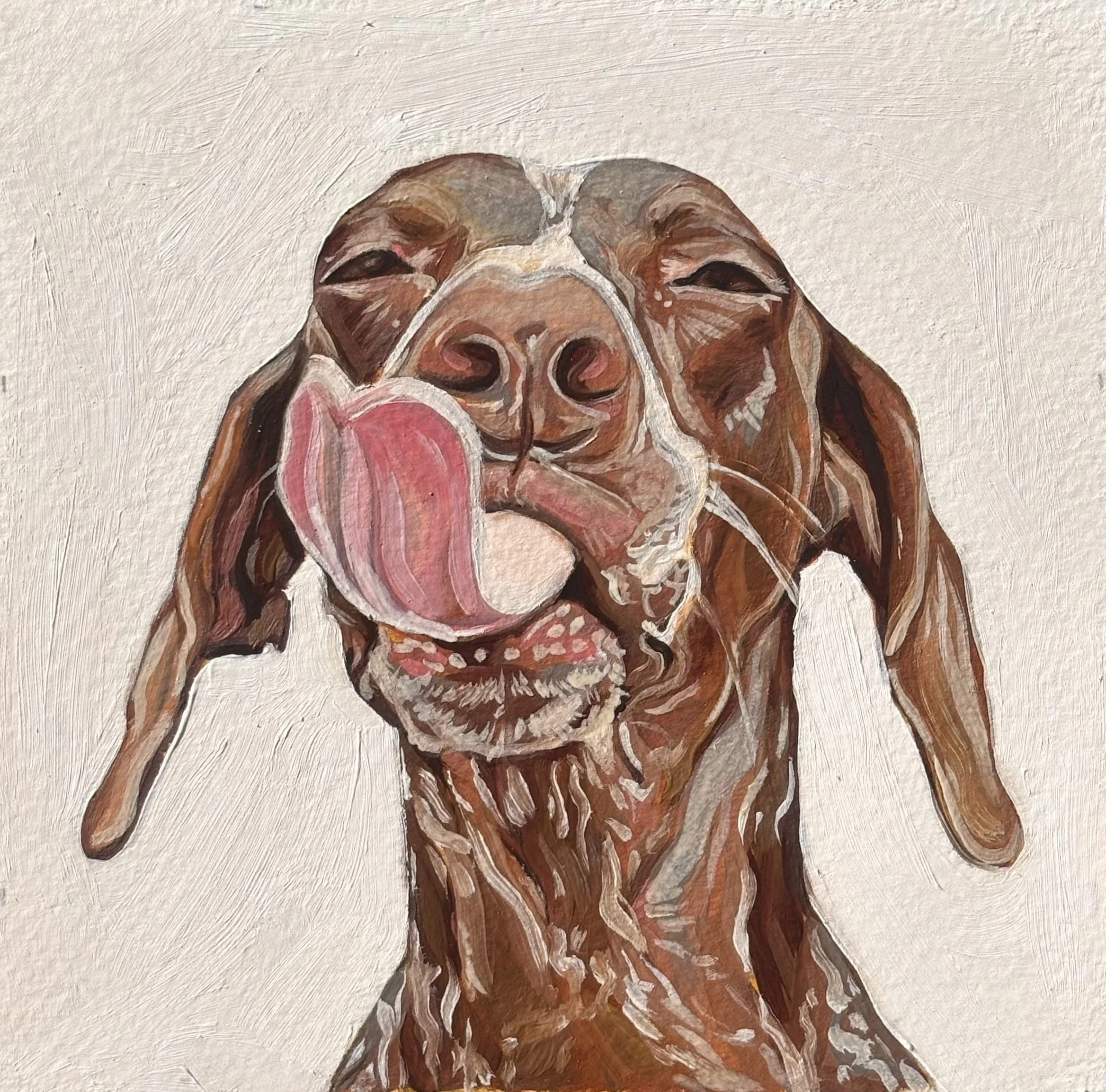 Affy, A6
