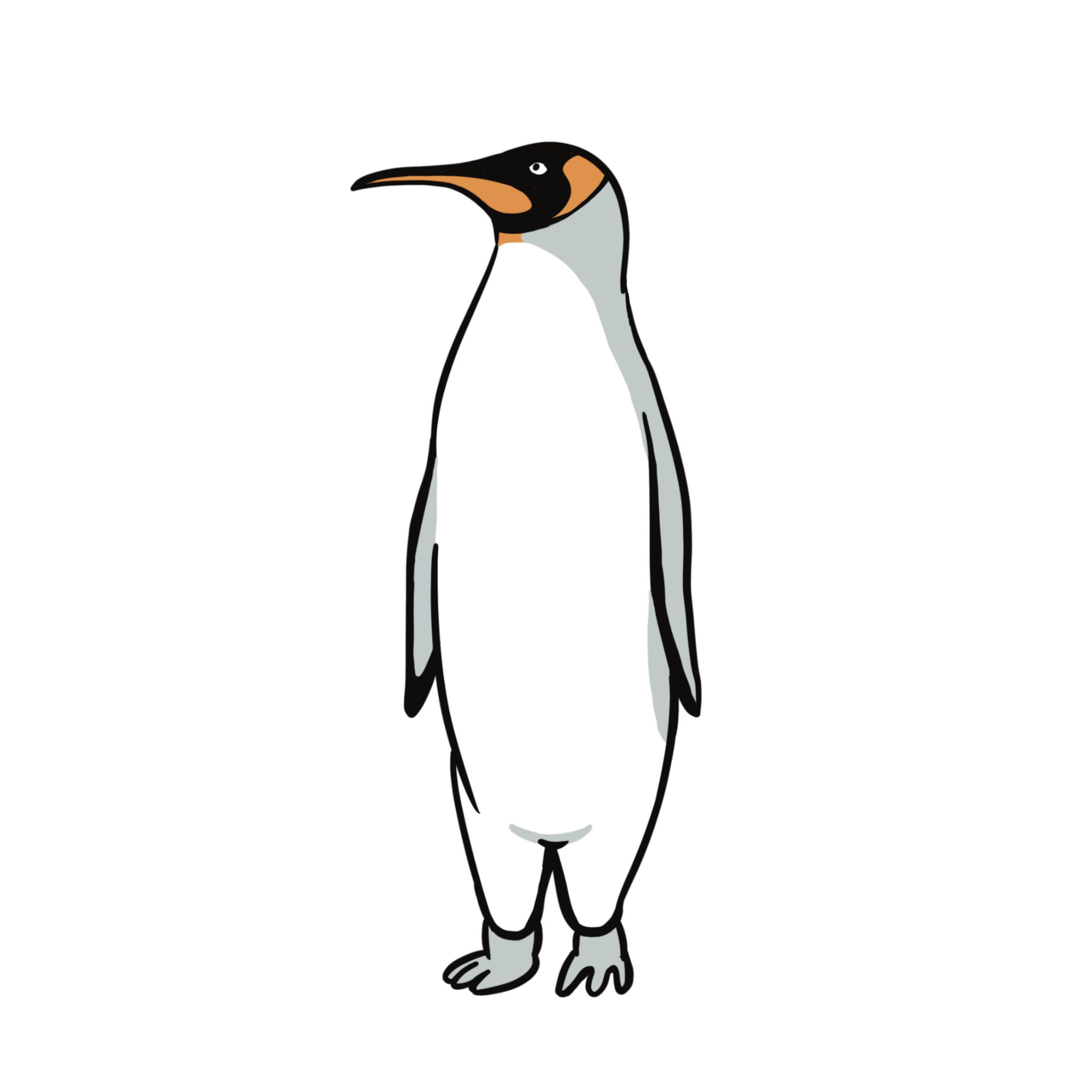 Pinguin