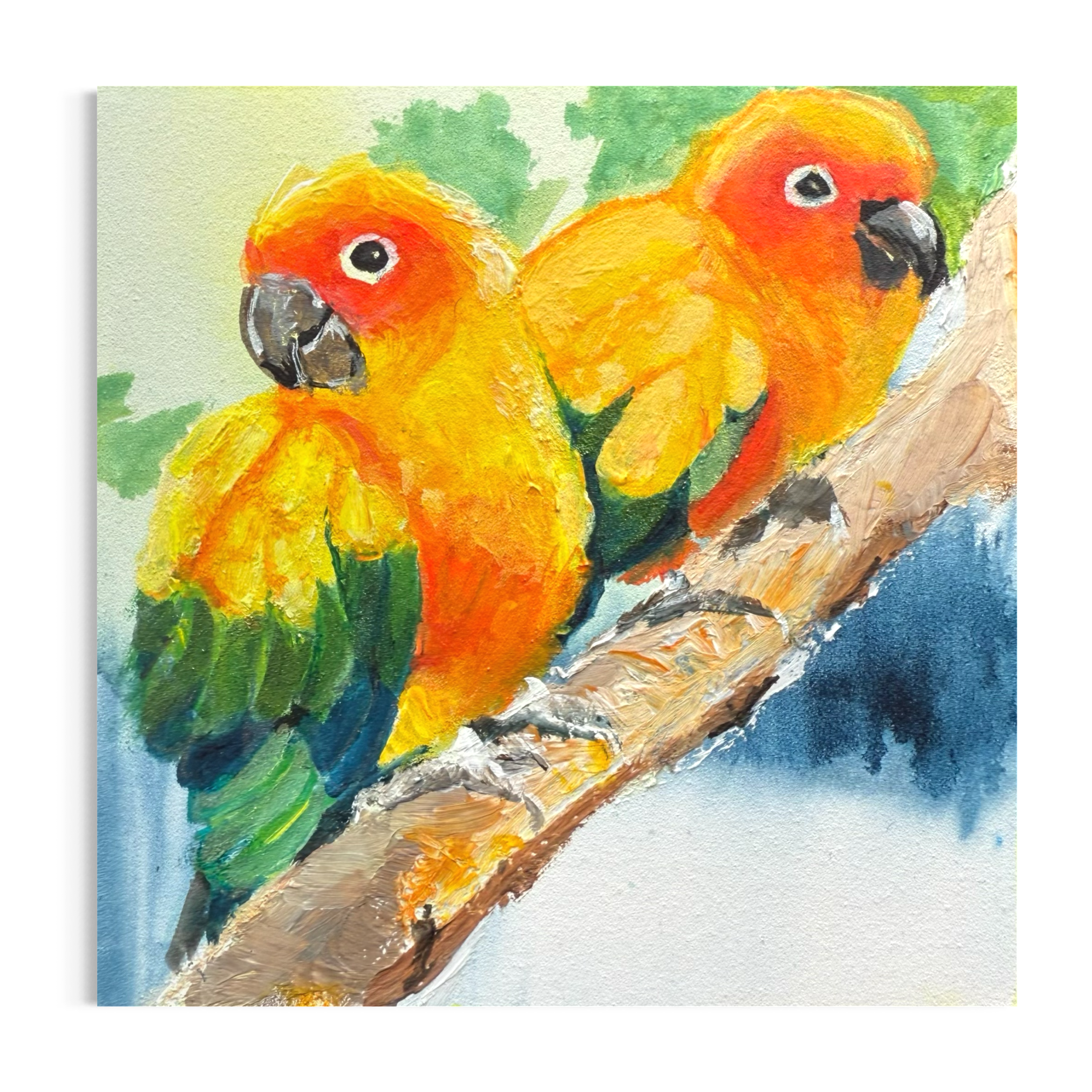 Parrot Duet