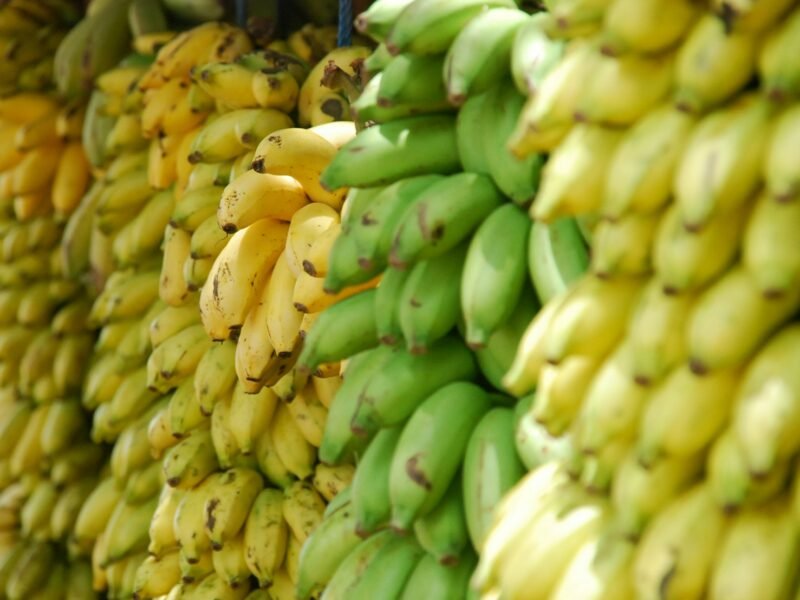 These bananas can help transition a business into fair trade