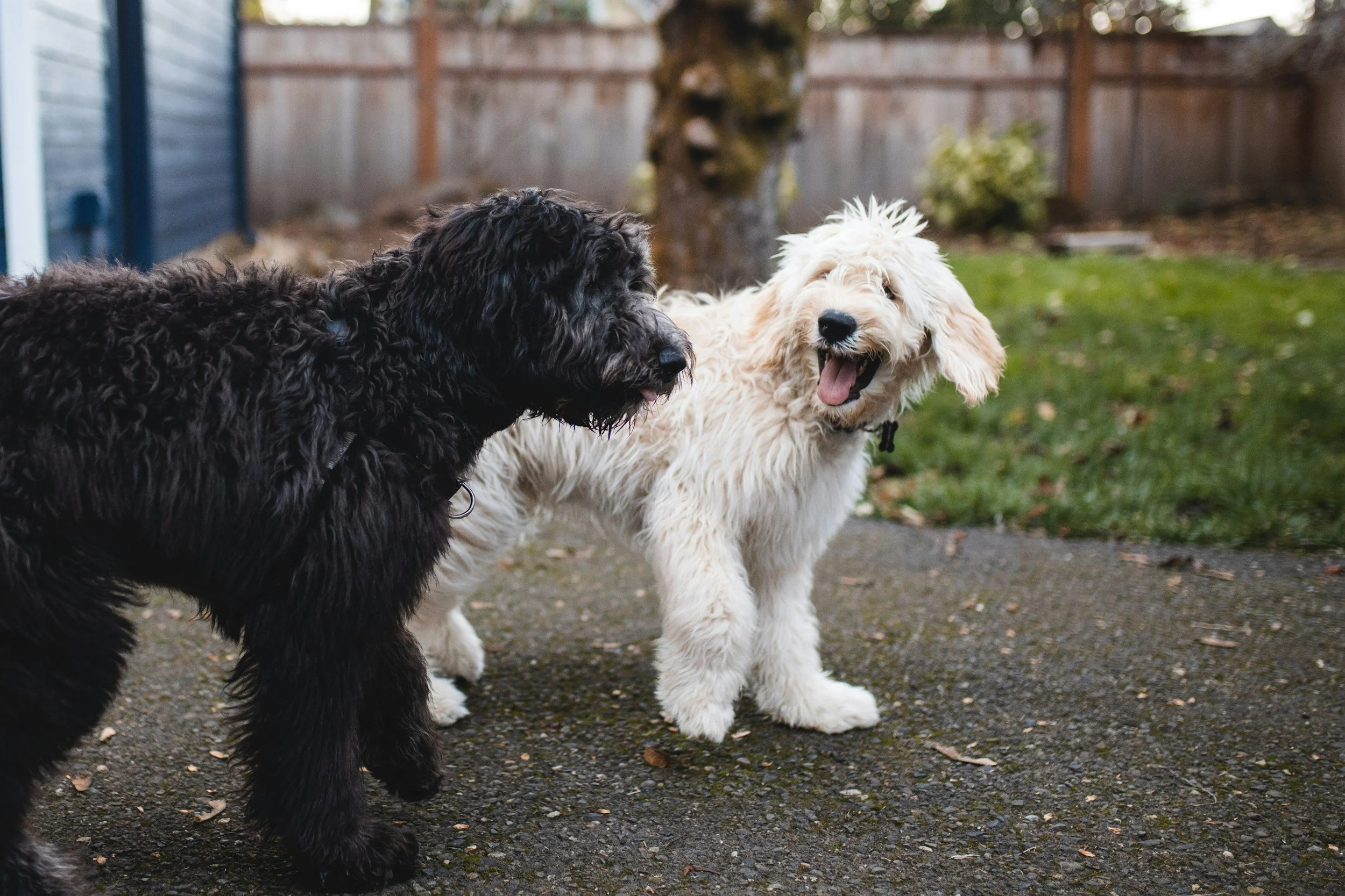 The Hidden ROI of Humor in Marketing