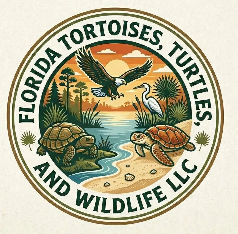 Chelsea E. Durr, PhD, Wildlife Scientist | Gopher Tortoise Agent