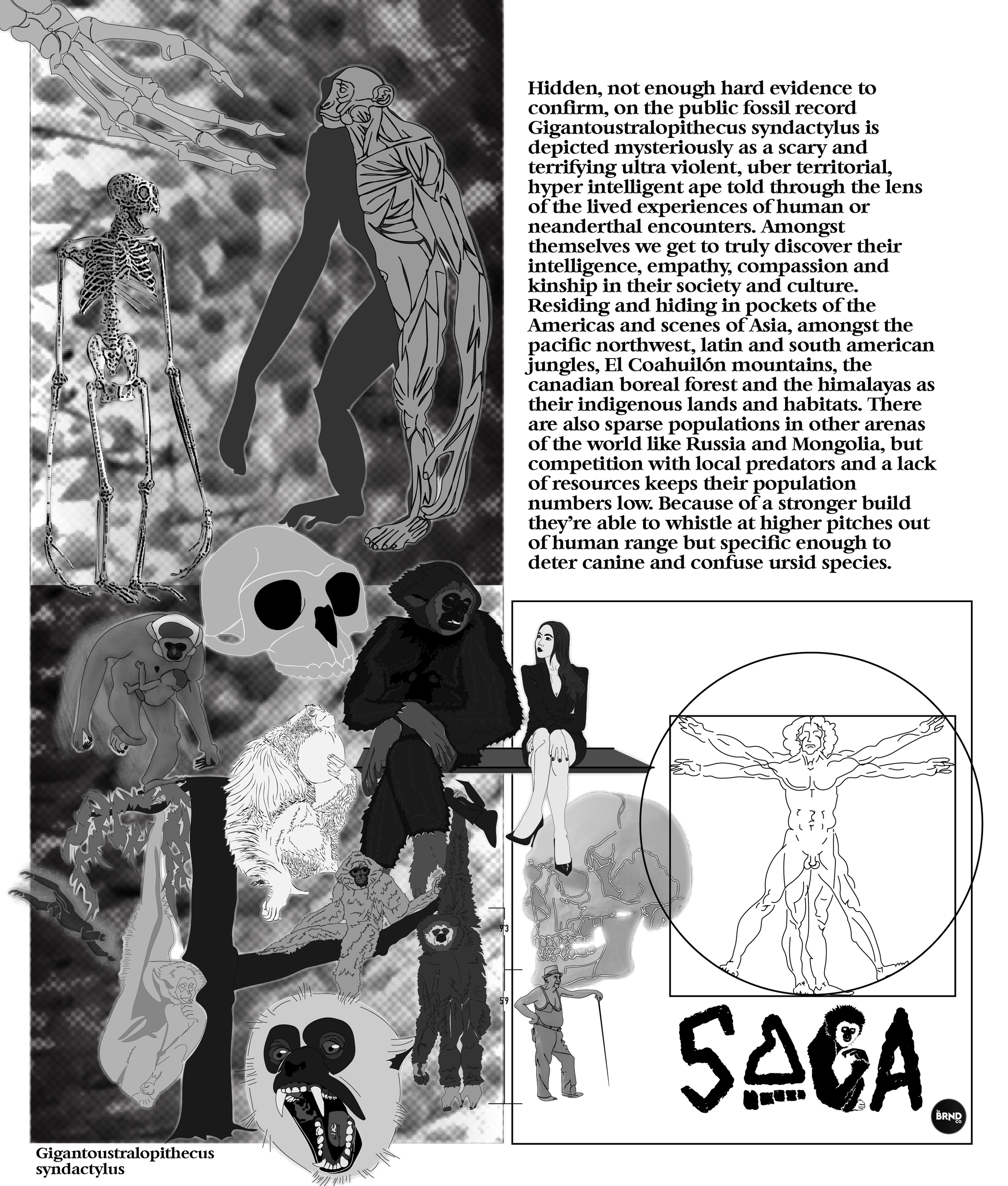 Saga Concept Art Model Sheet.png