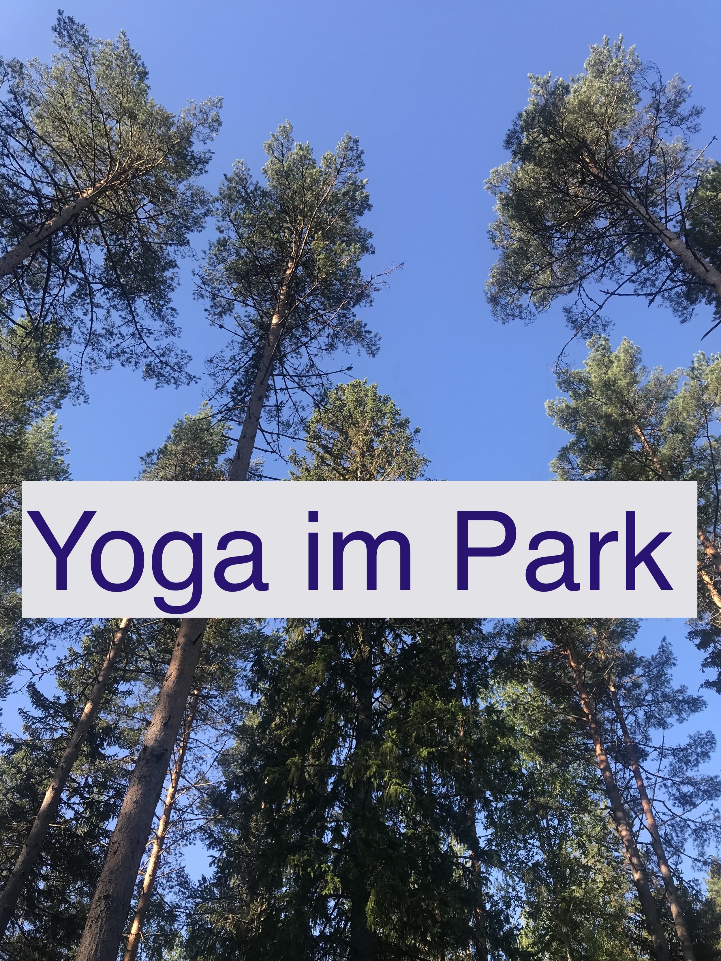 Yoga im Park