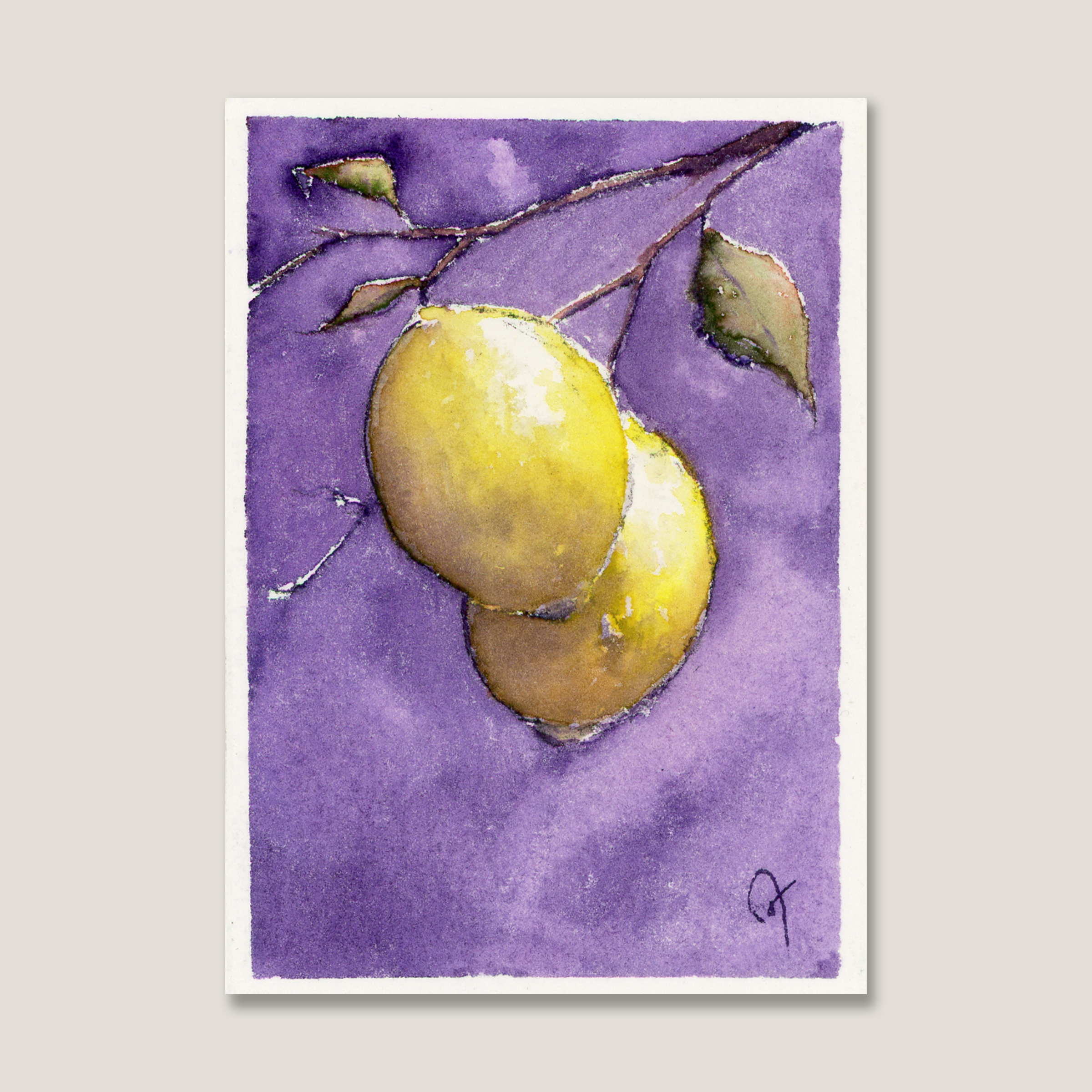 ACEO 5 "leMon"