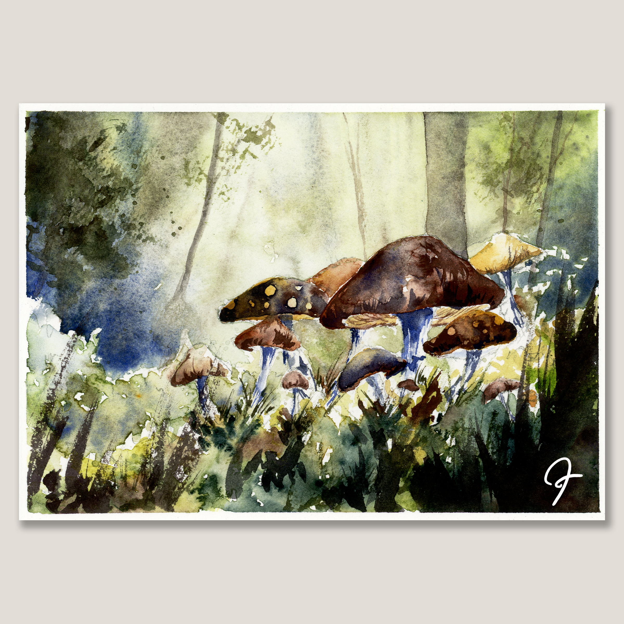 Skrooms - Watercolor Painting
