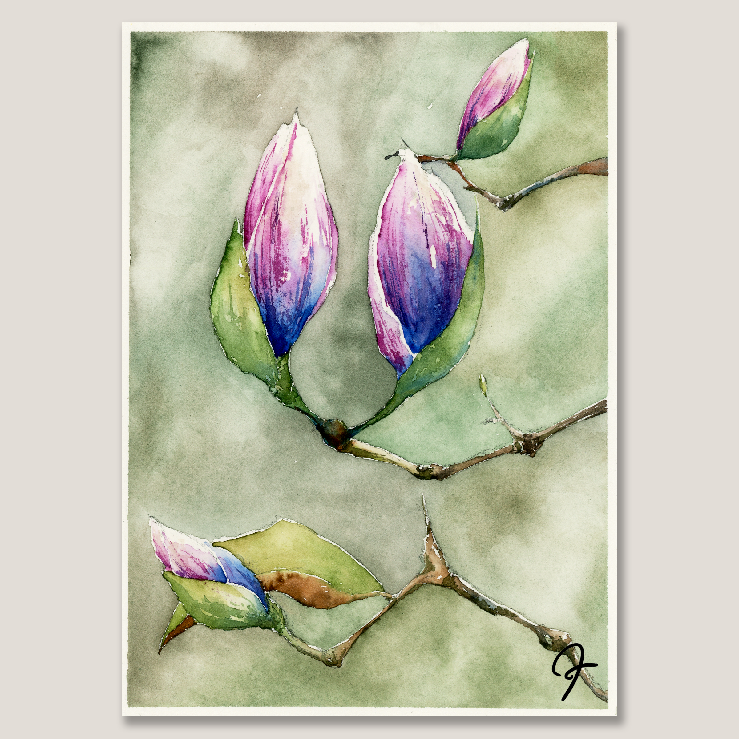 Maggish - Watercolor Painting