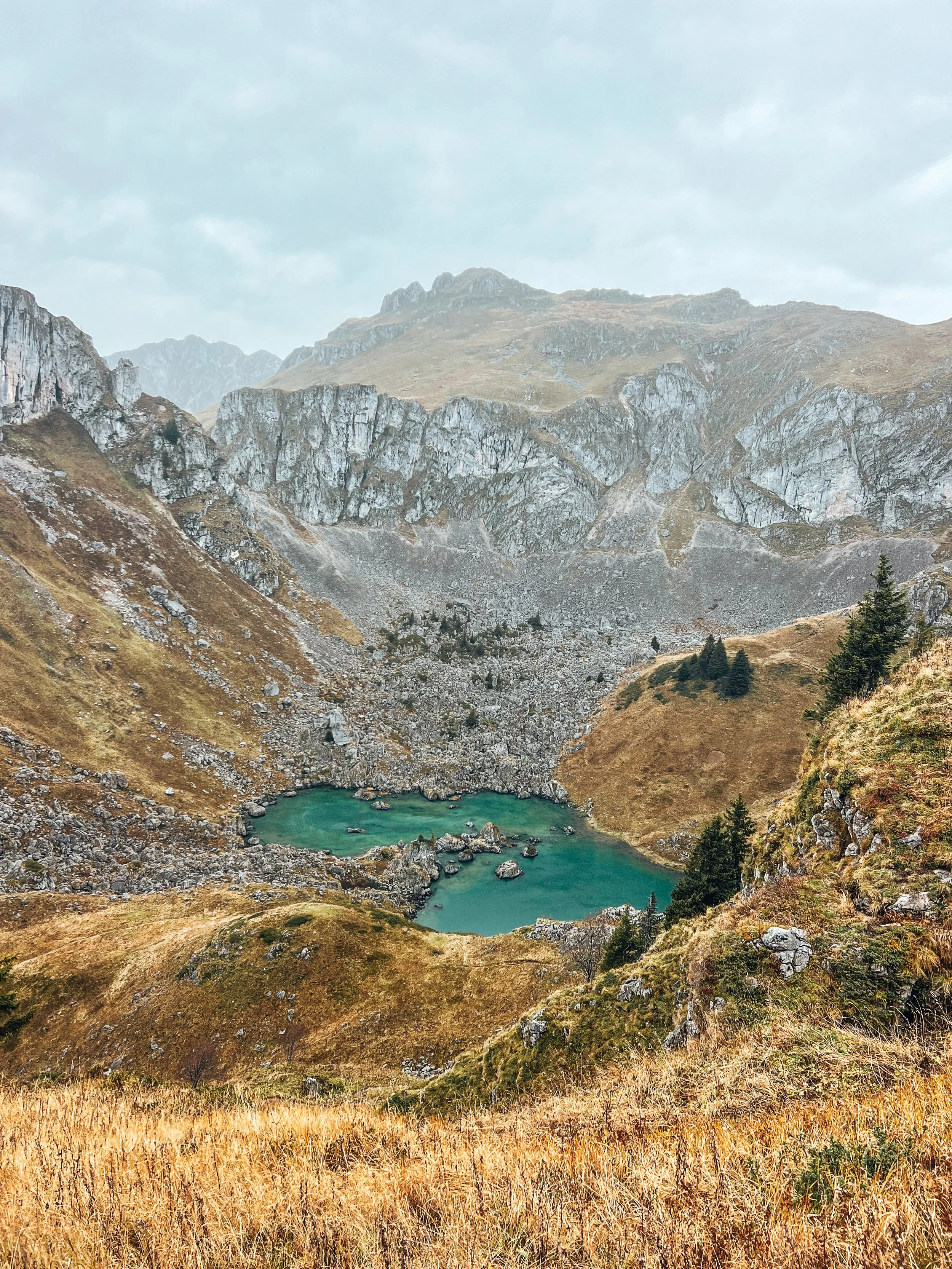 Abondance - automne magique
