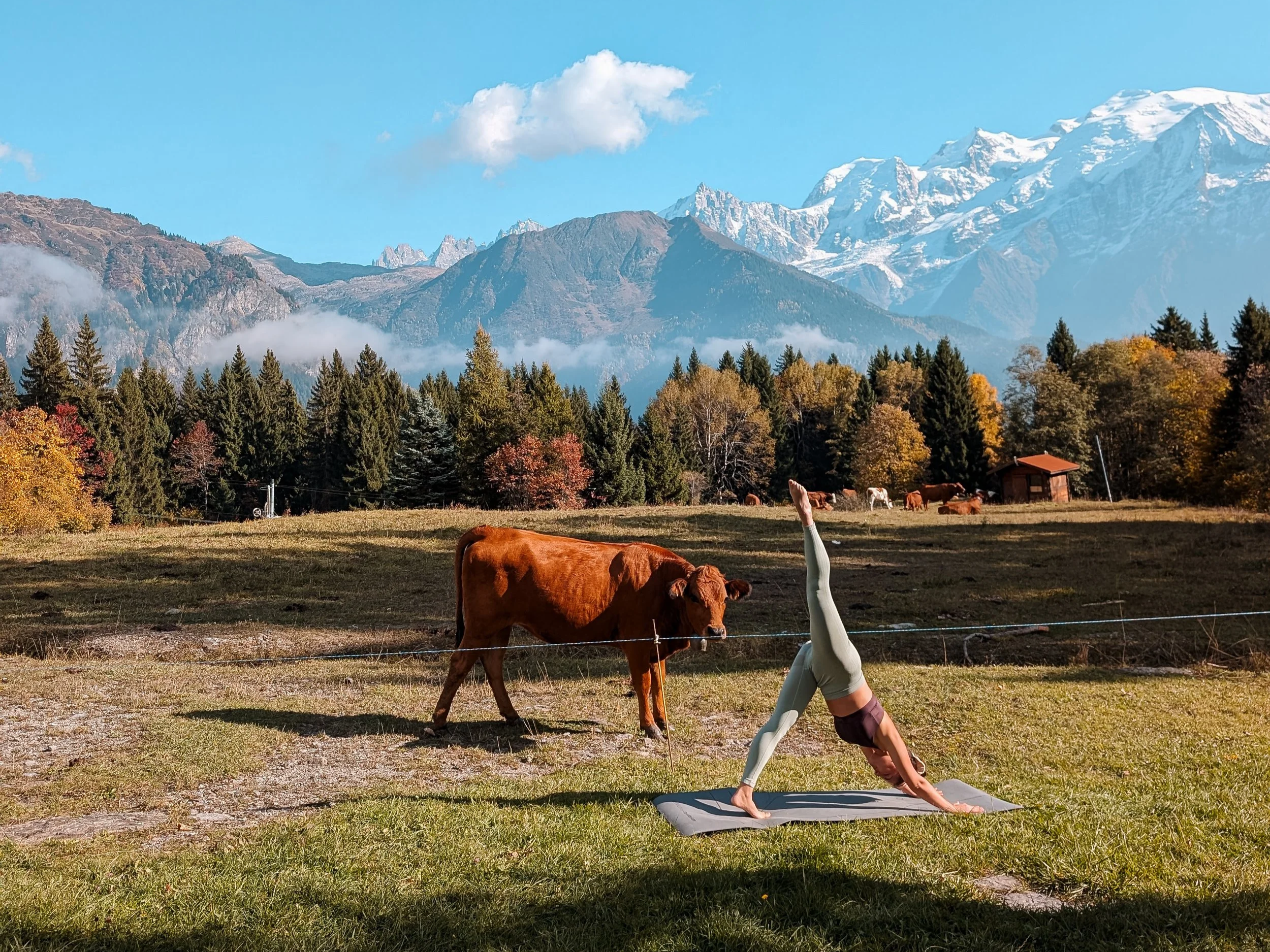 Flow Soleil Intérieur