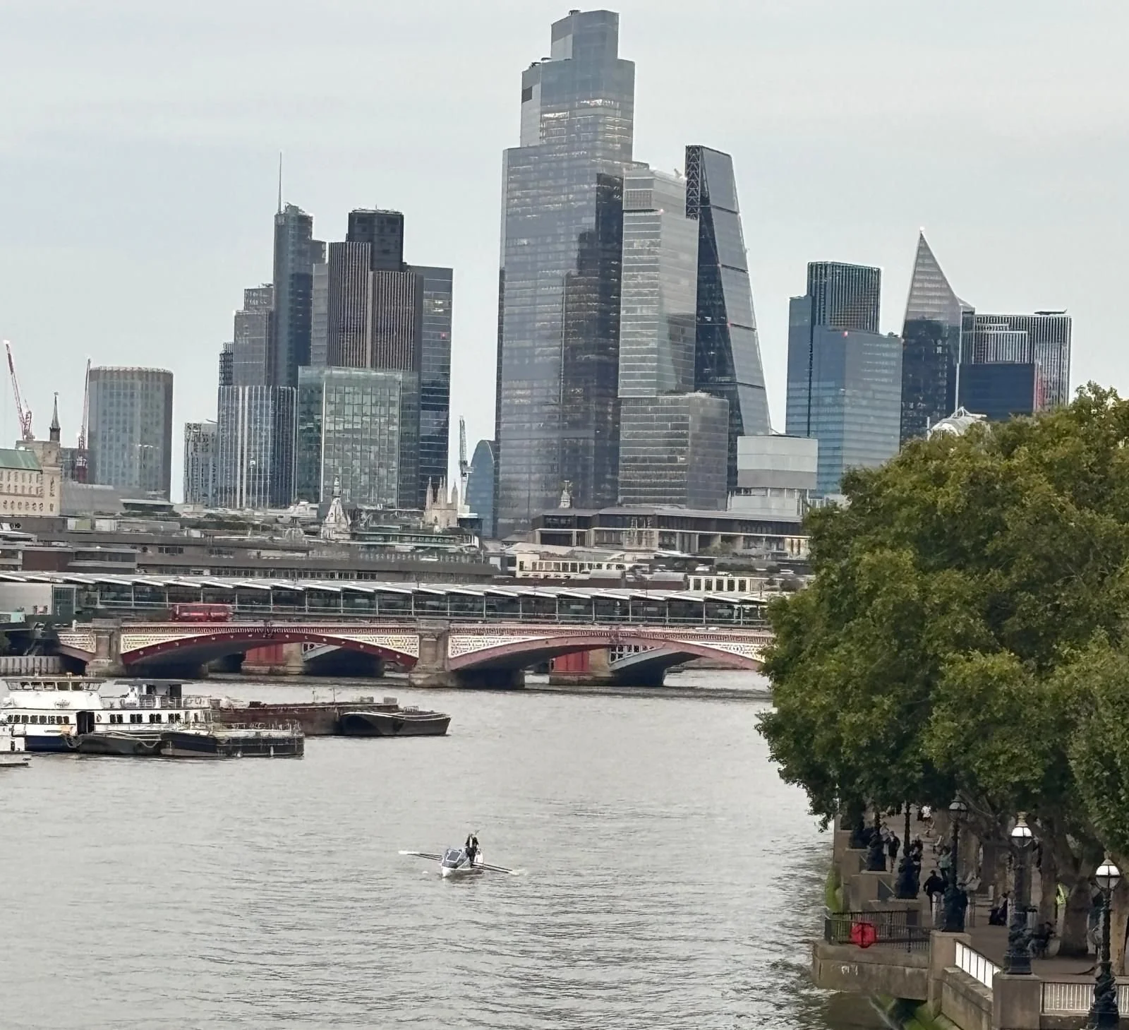 Team Seas Life Rowing along the Thames London Backdrop.jpeg