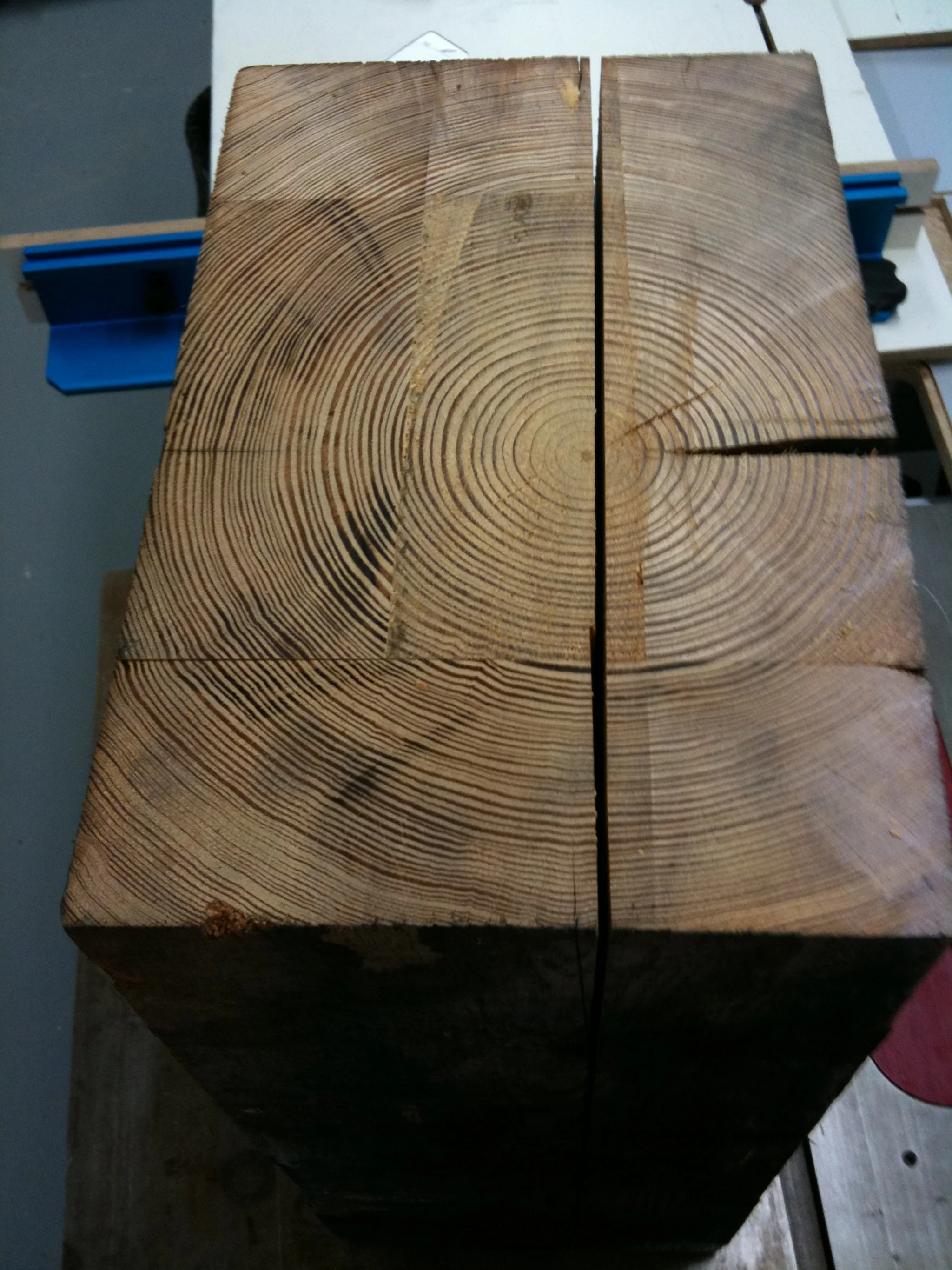 Growth rings tell a story and become part of the design