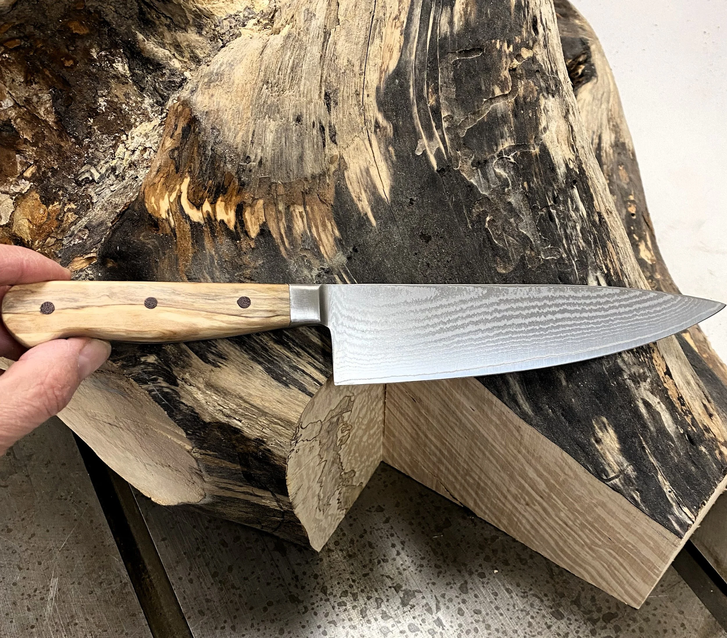 Knife scale and Birch driftwood source