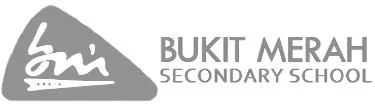 bmss logo - grey.jpg