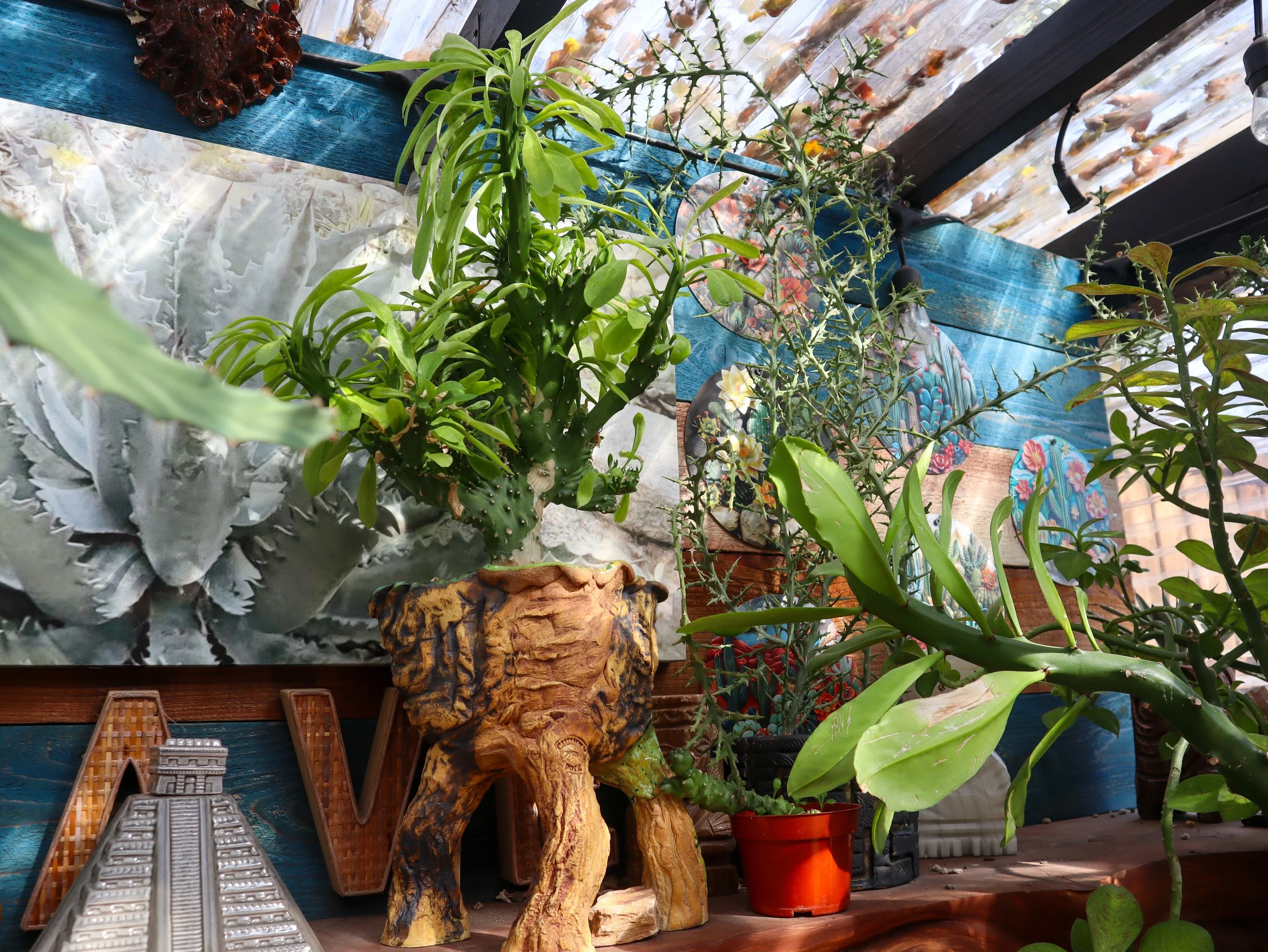  Photos by  Avery Escamilla-Wendell  