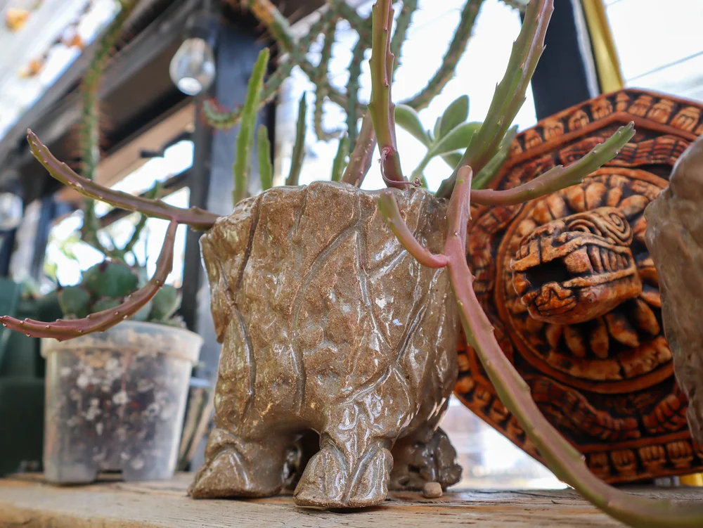 Chunky Potz; A funky and fun reinvention of hand-built pottery