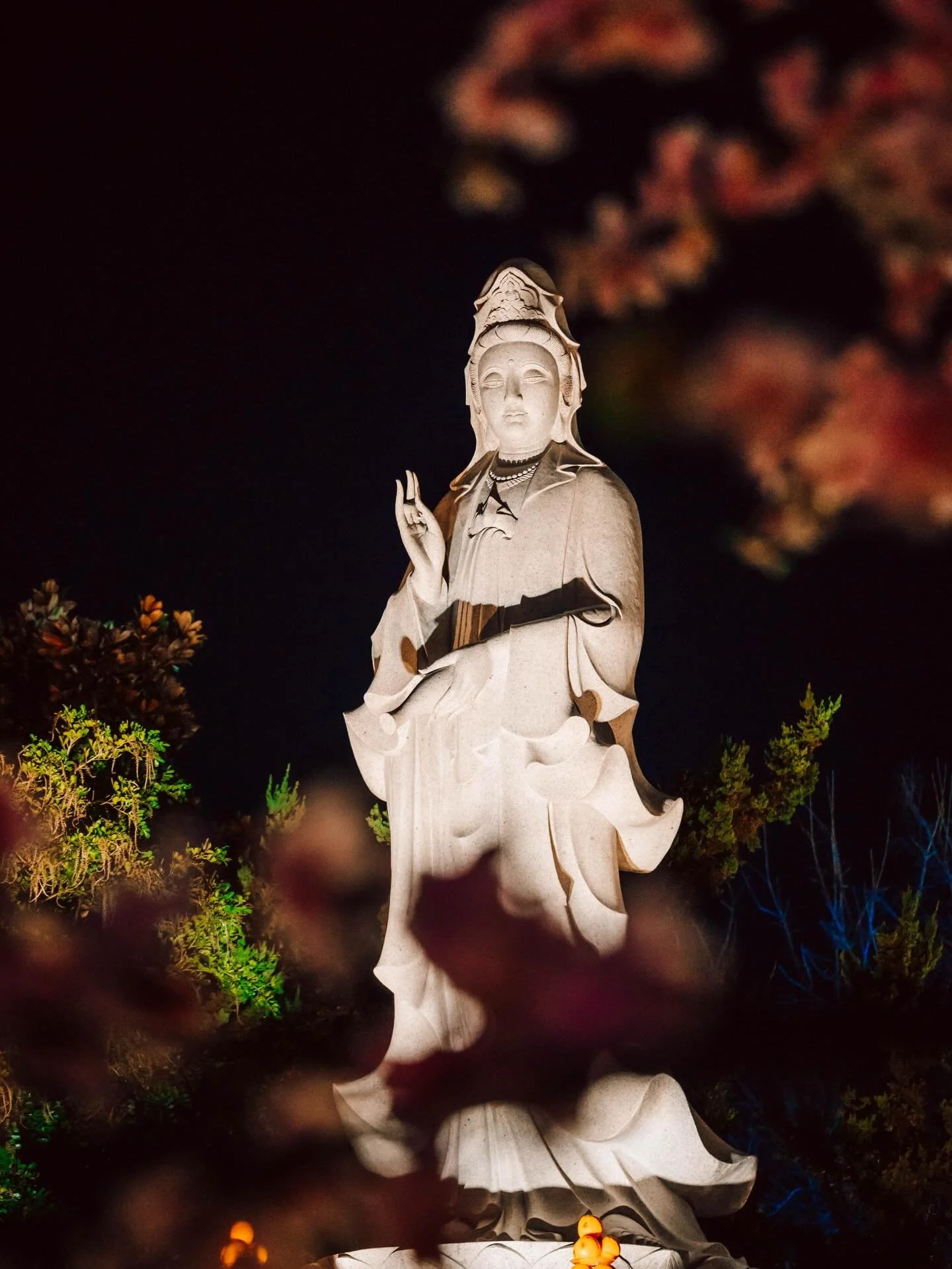 🌵 We celebrated Lunar New Year at the Lien Huo Buddhist temple ✨️ Celebrations like the San Antonio Lunar Festival bring that same spirit of culture and community closer to home.❤️🧧

Wishing everyone a happy Lunar New Year!

Check out the full arti