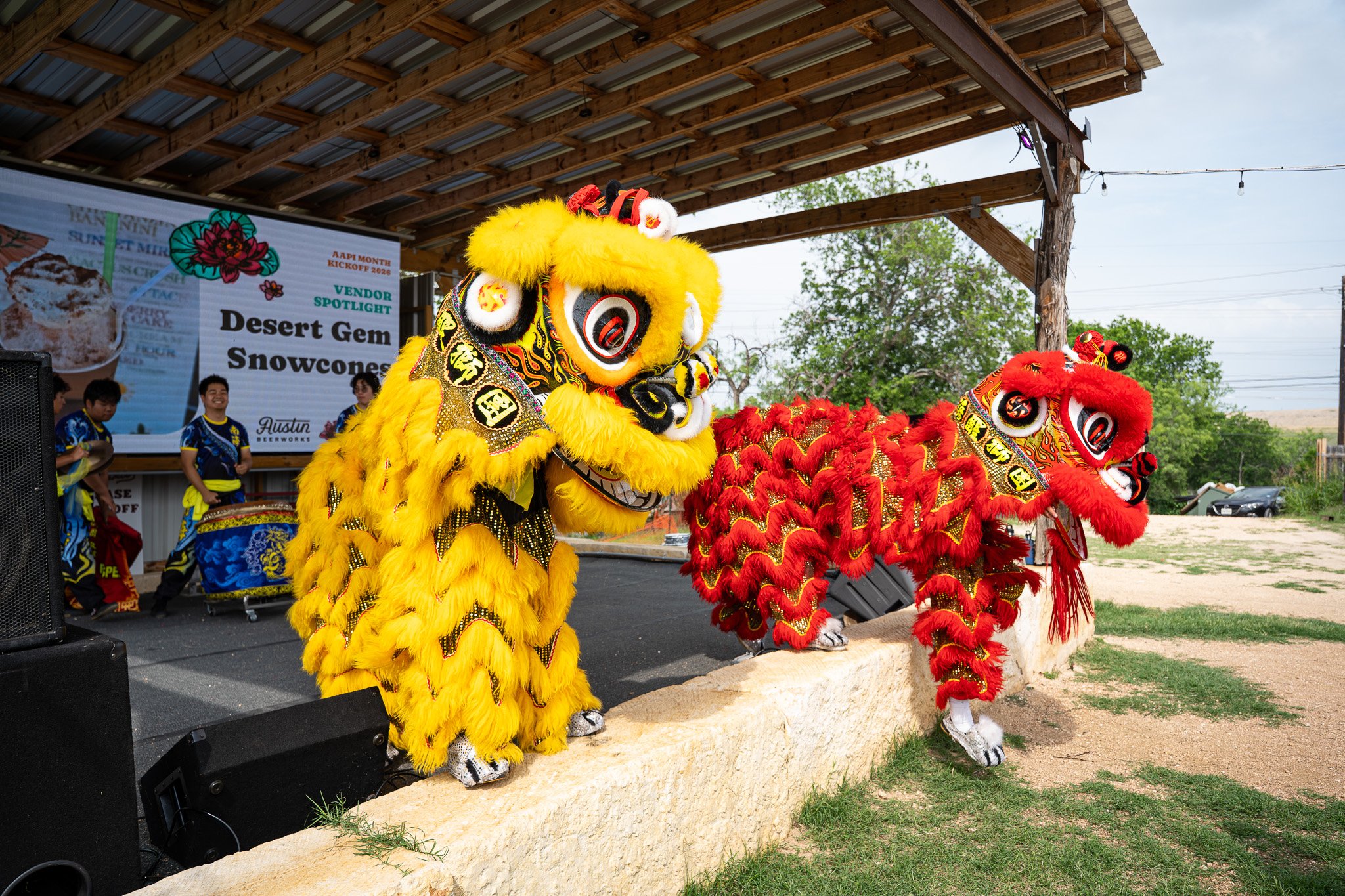 AAPI 63 (Southern Sea Dragon and Lion Dance).jpg