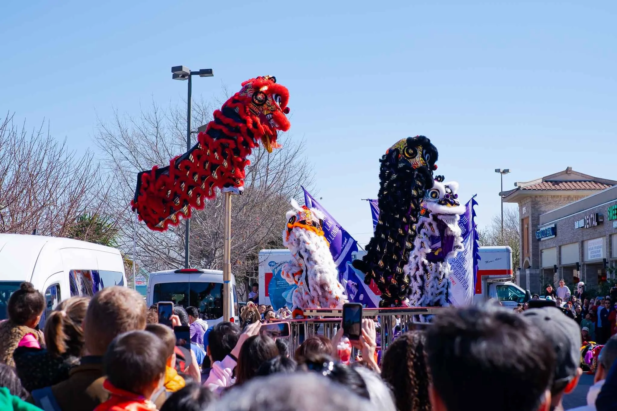 Lunar New Year Festival | March 4, 2026 | Dallas, TX