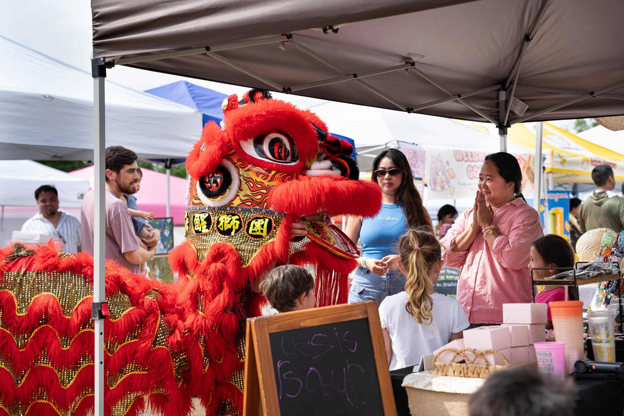 AAPI 73 (Southern Sea Dragon and Lion Dance).jpg