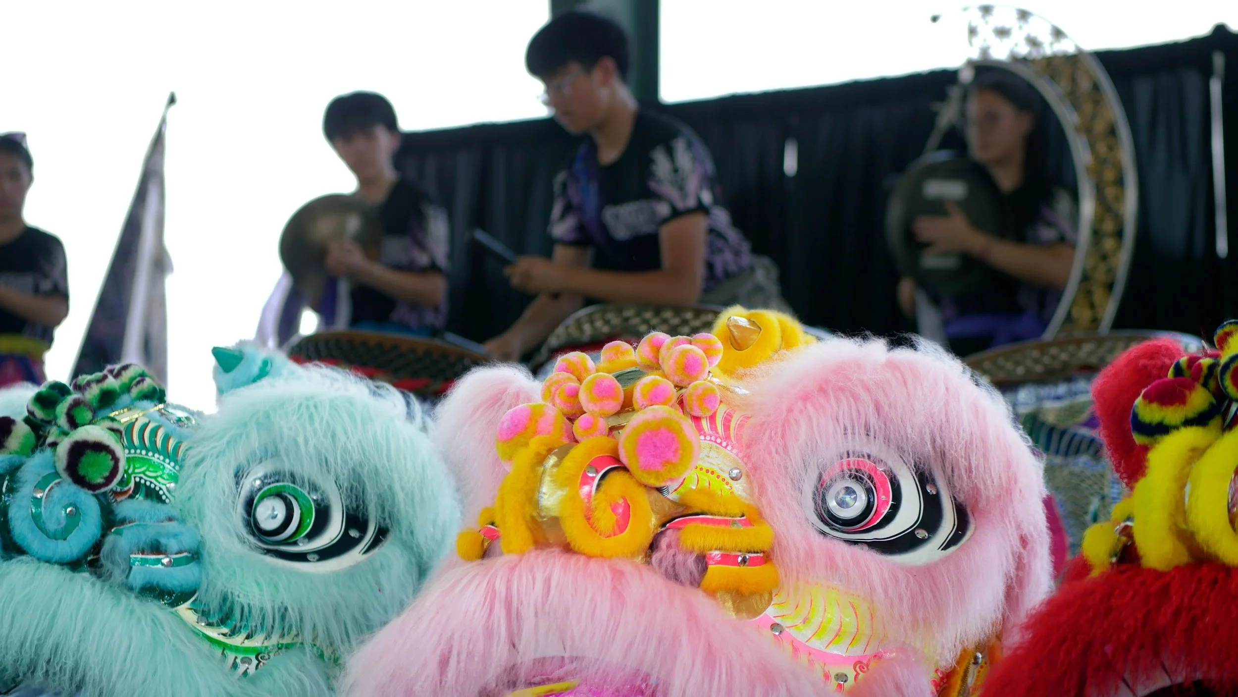 AAPI Fest Houston | May 20, 2026