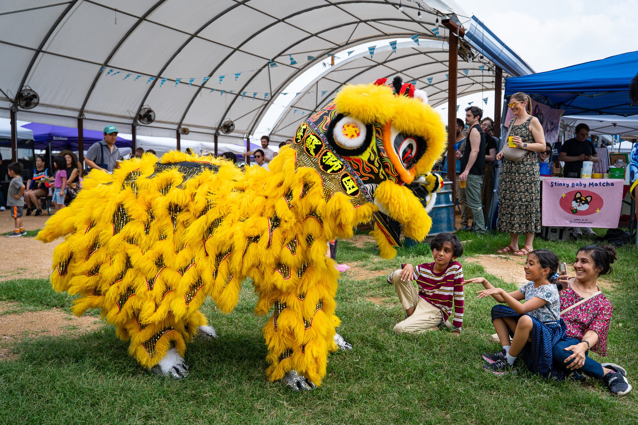 AAPI 65 (Southern Sea Dragon and Lion Dance).jpg