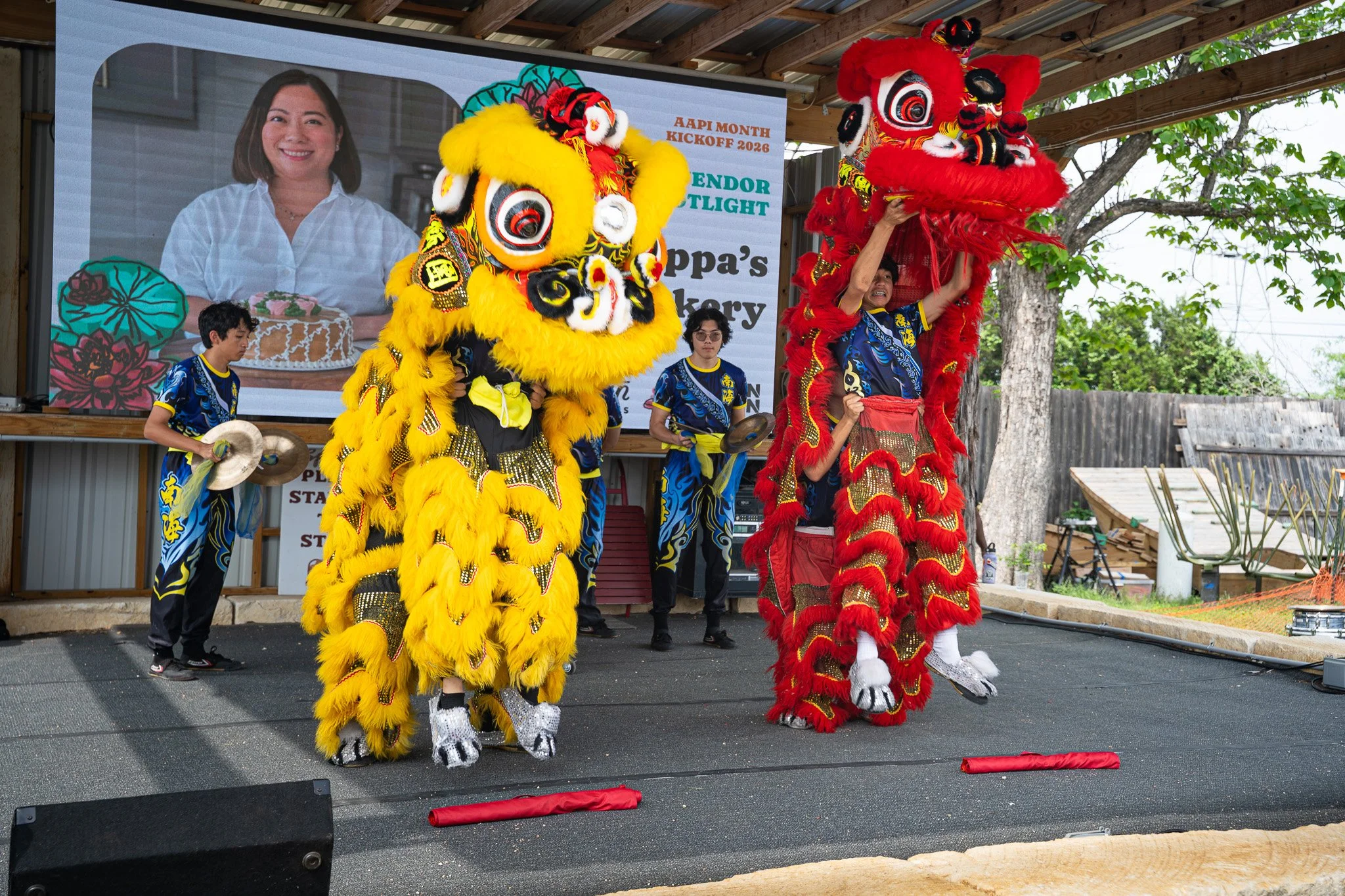 AAPI 54 (Southern Sea Dragon and Lion Dance).jpg