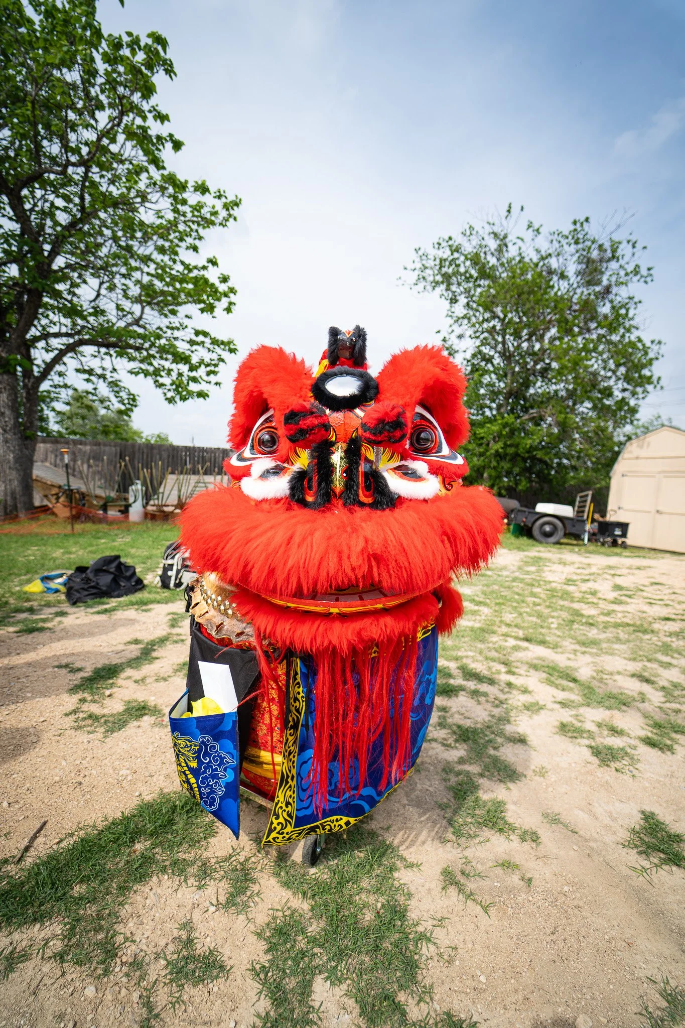 AAPI 51 (Southern Sea Dragon and Lion Dance).jpg