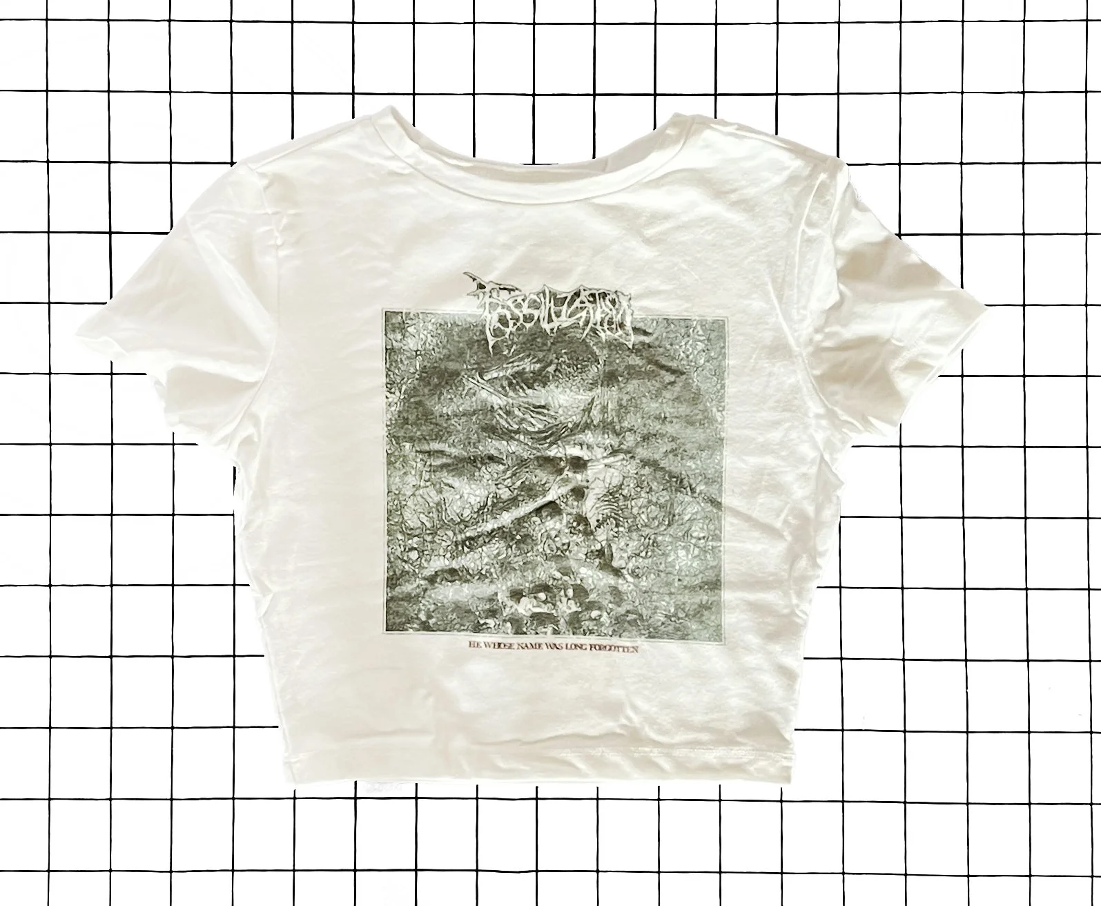 Fossilization 'he whose name was long forgotten' Crop Top, size x-small