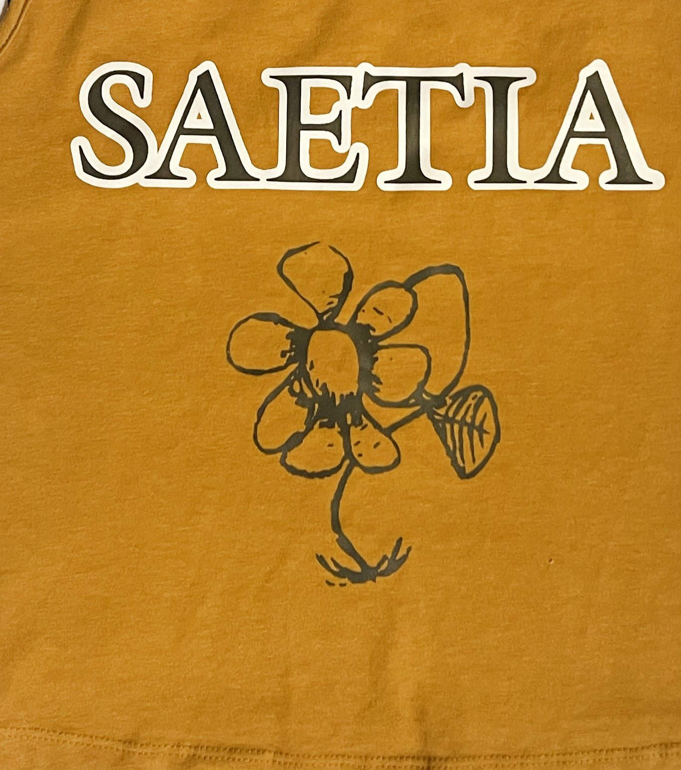 SAETIA Archive Tank - Close.jpg