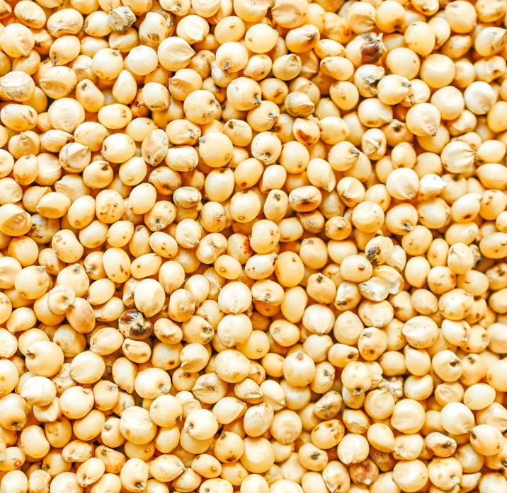 Sorghum (50kg Burlap Sack)