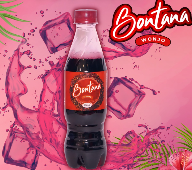 Bontana Wonjo (24 x 350ml Bottled Drink)