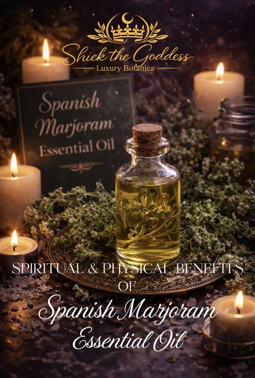 Herbalism After Dark : Spanish Marjoram Essential Oil