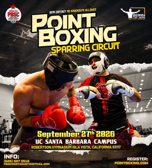 ボクシング WBC ピンバッジ Boxing WBC Boxing World Championship