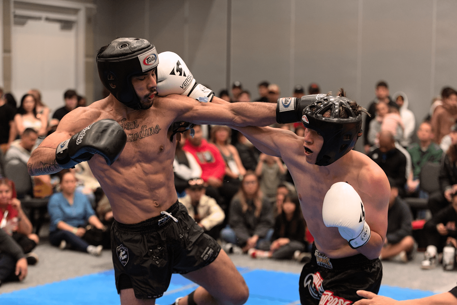 Point Boxing Sparring Circuit