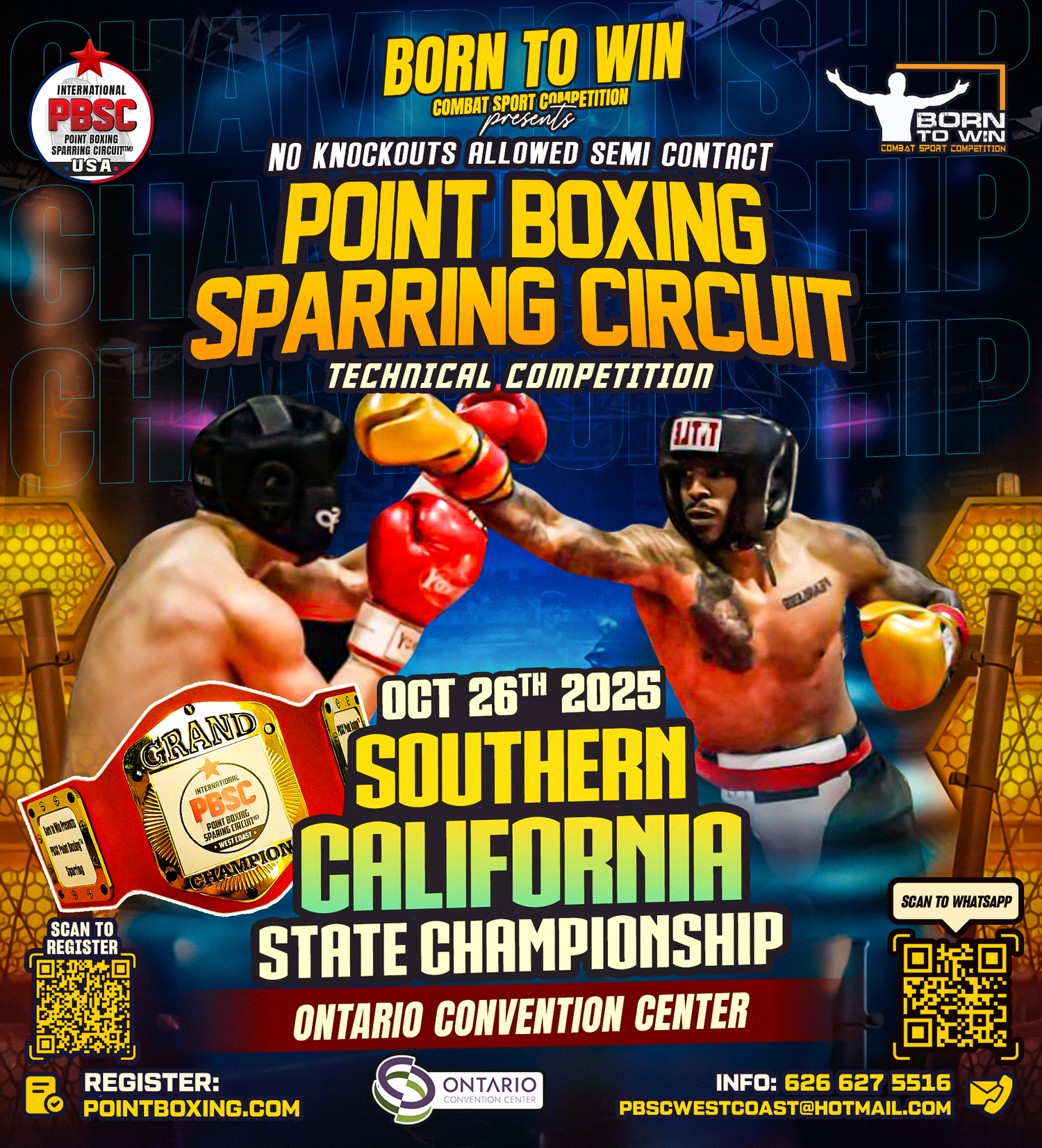 Point Boxing Sparring Circuit