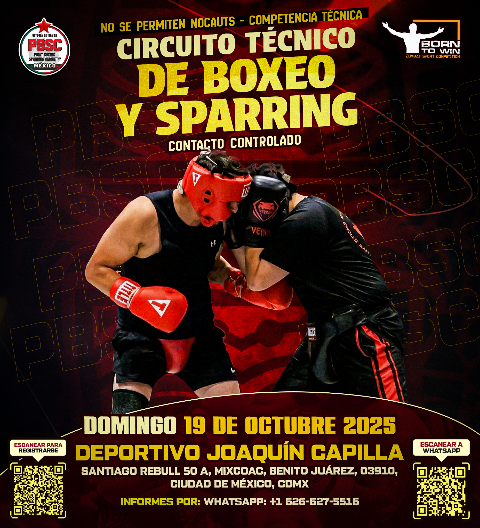 PBSC CIRCUITO TÉCNICO DE BOXEO Y SPARRING - CDMX