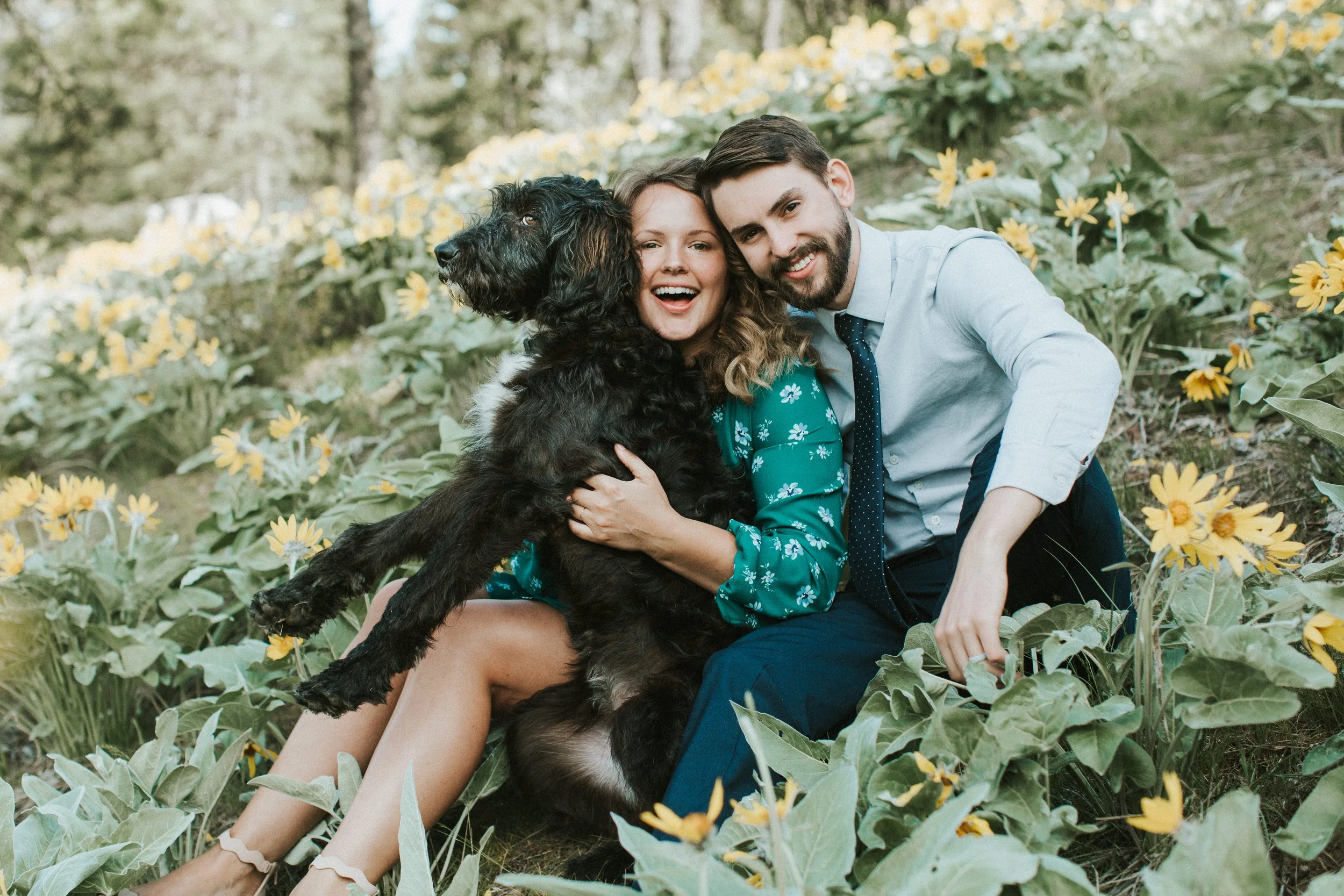 A smiling couple sitting outdoors in a field of yellow flowers holding a large black and brown dog.