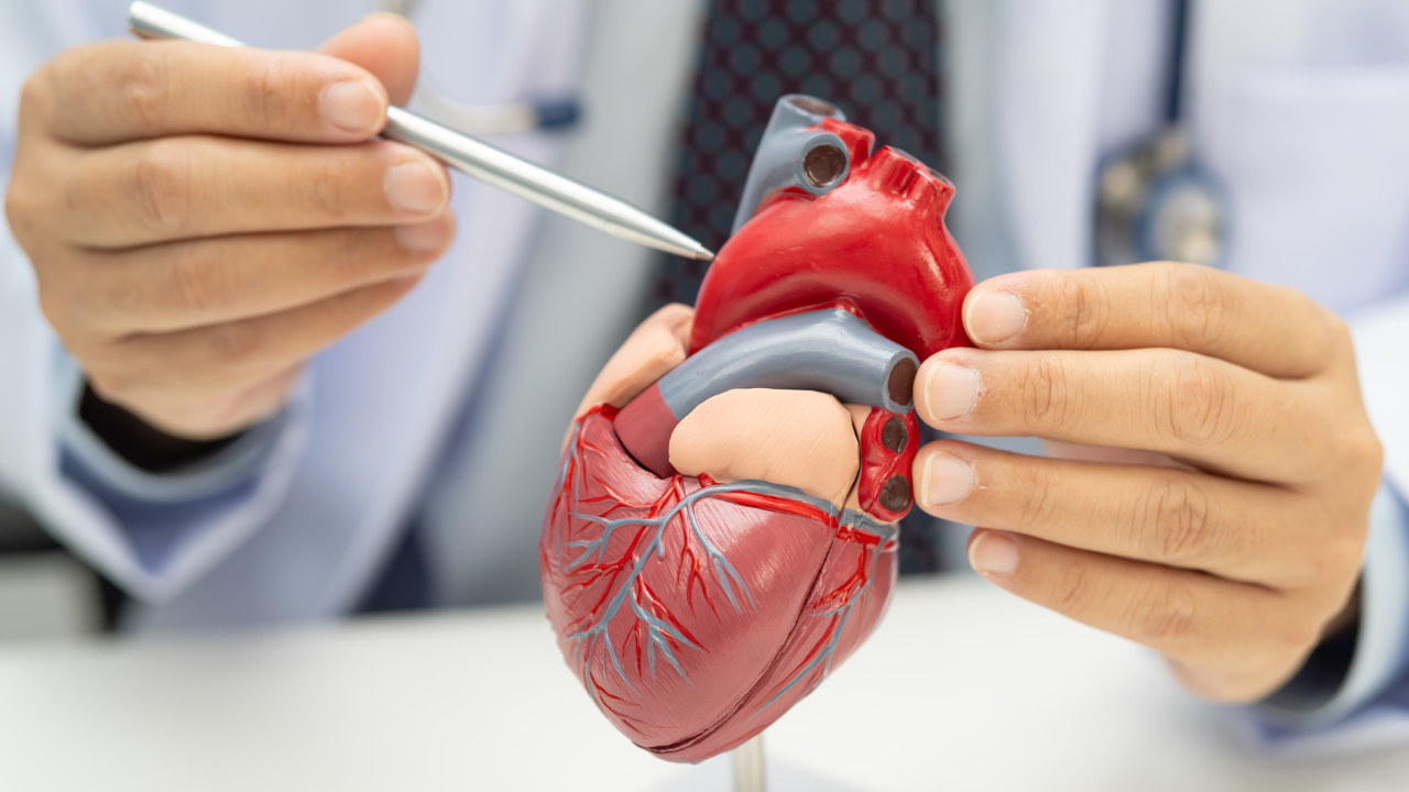 Prednisone Side Effects Explained