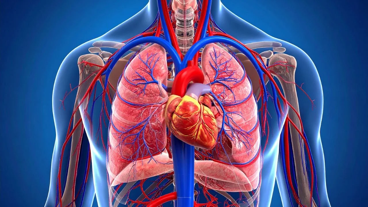 Methotrexate and Your Liver: 5 Steps to Protect Yourself