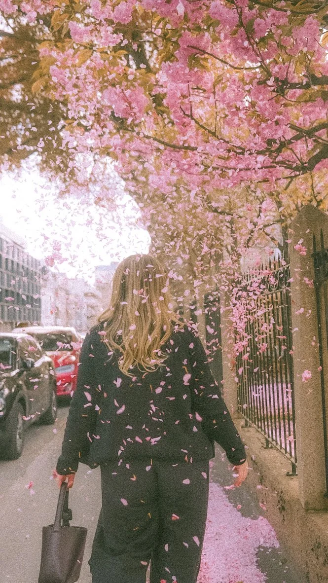 En person med langt, lyst hår går under blomstrende kirsebærtrær på gaten, med fallende rosa blomster.