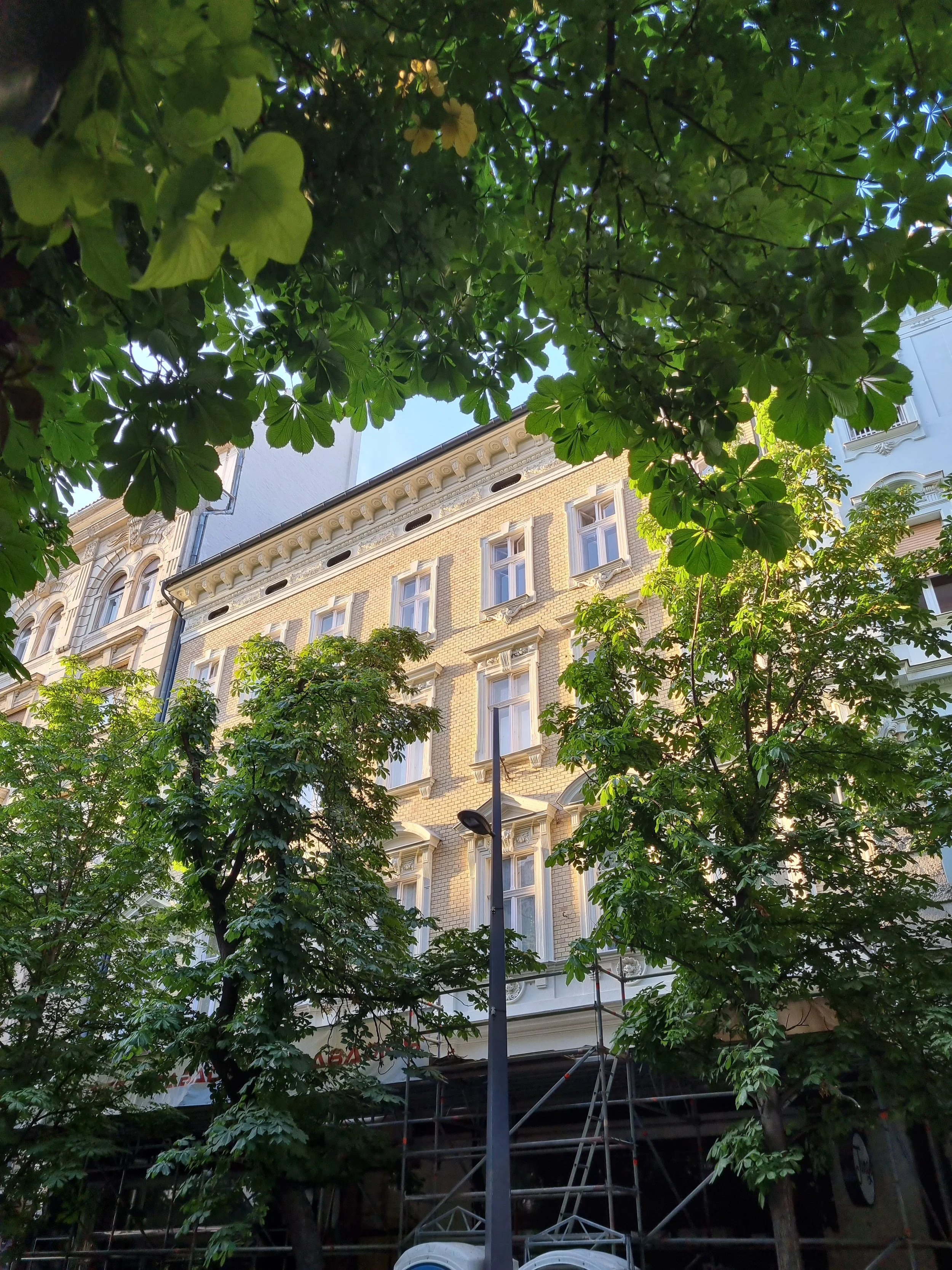Alulnézeti kép egy impozáns, díszes épületről Budapest belvárosában. A Kecskeméti utca felől készített kép előterében, valamint közvetlenül az épület előtt zöldellő vadgesztenyefák, modern lámpaoszlop és állványozás látható.