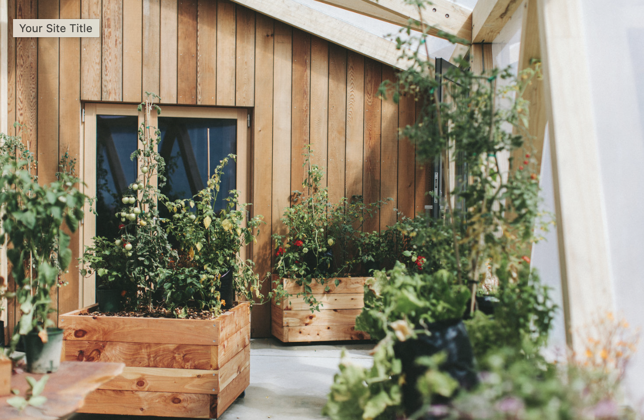 Transition og intention